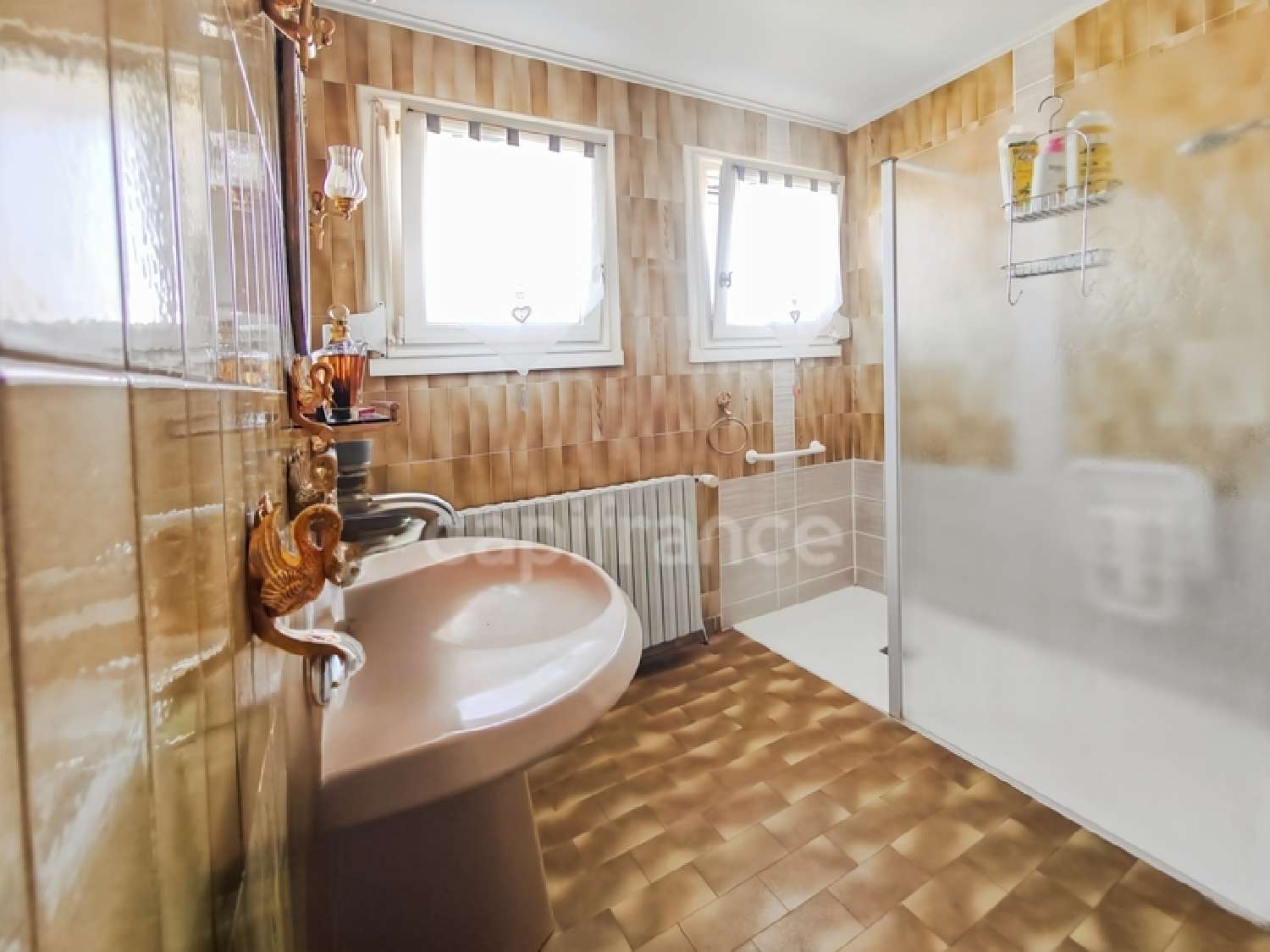 à vendre maison Châtenoy-en-Bresse Saône-et-Loire 7