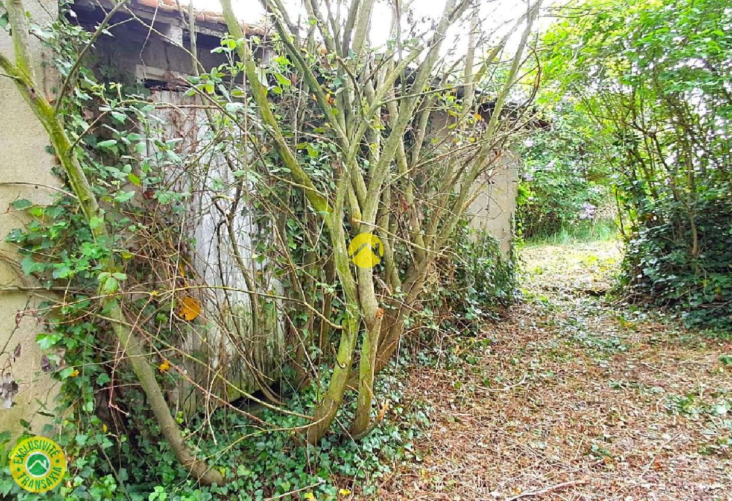  te koop huis Chavenon Allier 2