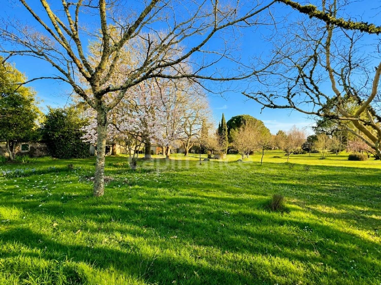  à vendre maison Chevanceaux Charente-Maritime 2