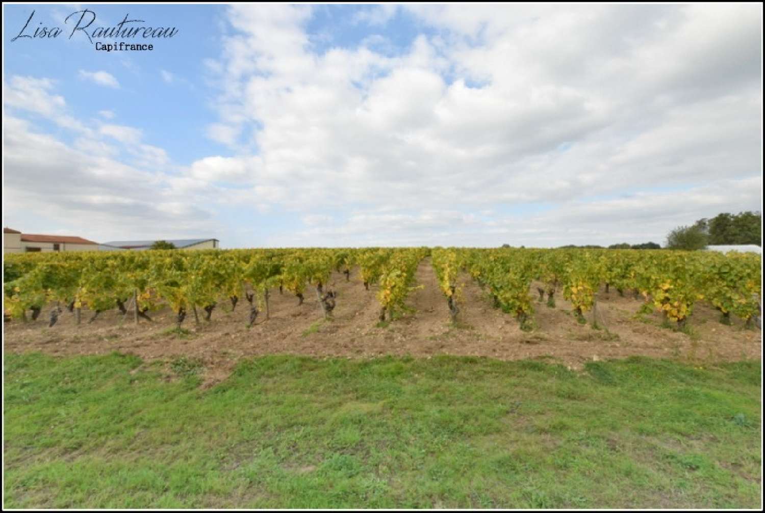  for sale house Clisson Loire-Atlantique 2