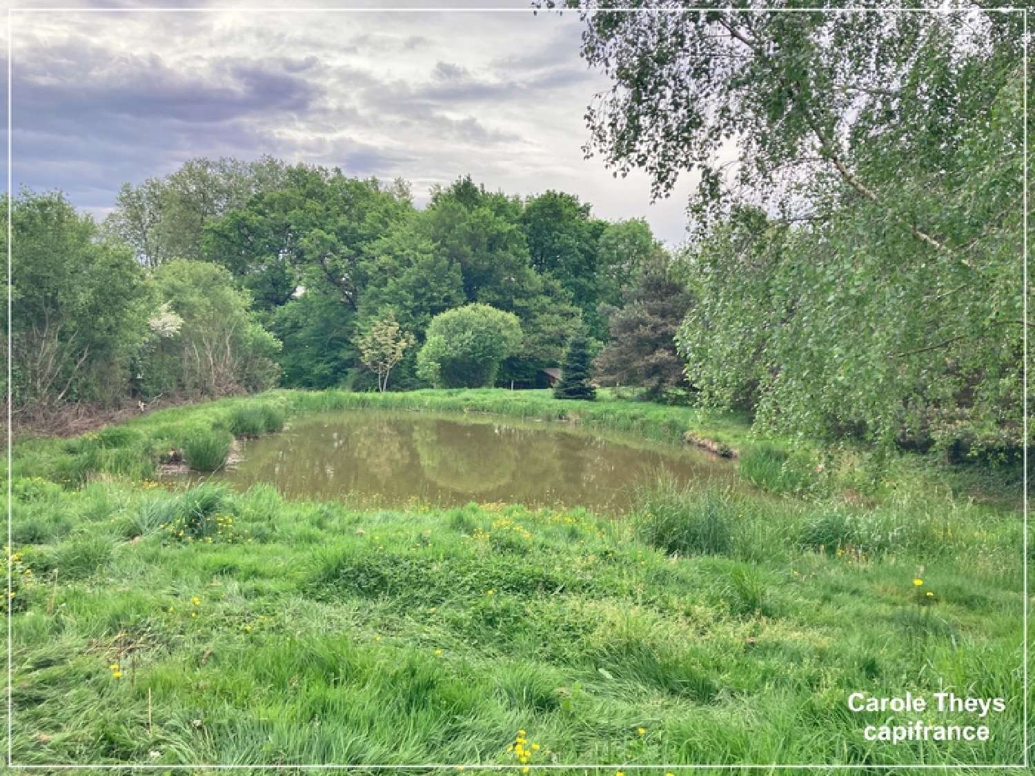  for sale house Colondannes Creuse 8