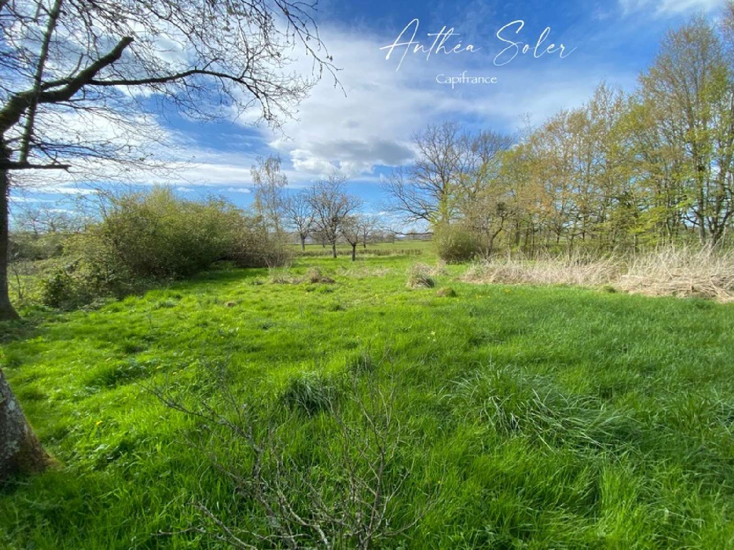  à vendre maison Corbigny Nièvre 3