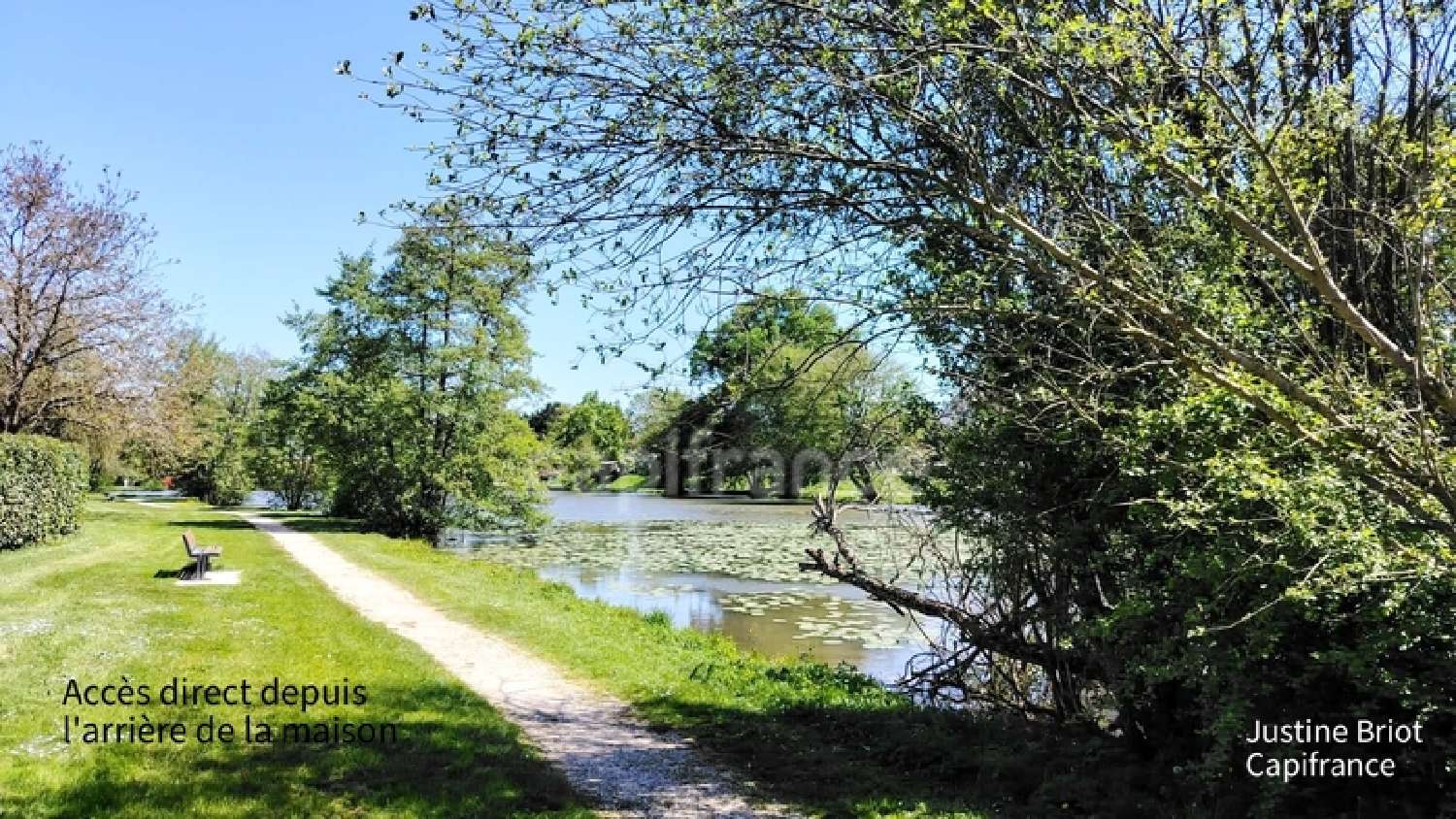à vendre maison Cours-les-Barres Cher 7