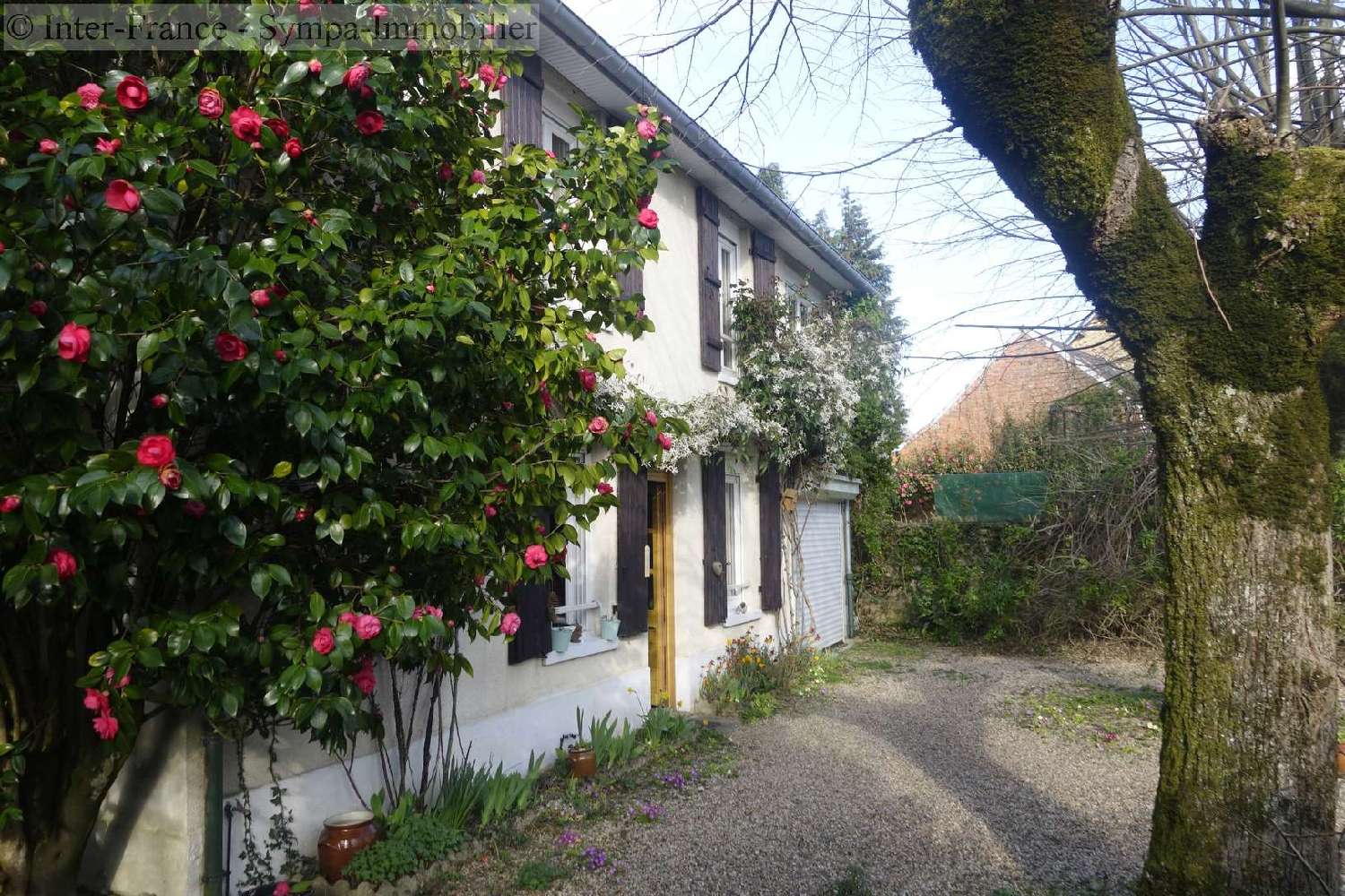  à vendre maison Coussac-Bonneval Haute-Vienne 5