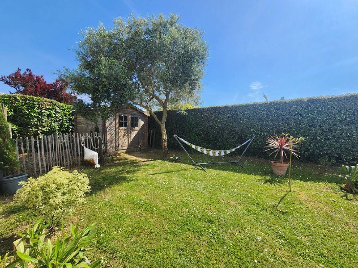  for sale house Dolus-d'Oléron Charente-Maritime 3