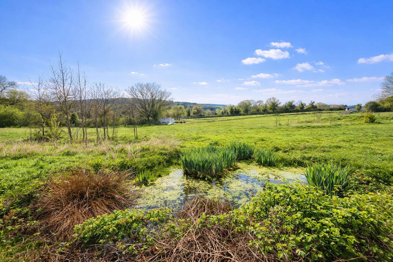  te koop huis Dompierre-en-Morvan Côte-d'Or 2
