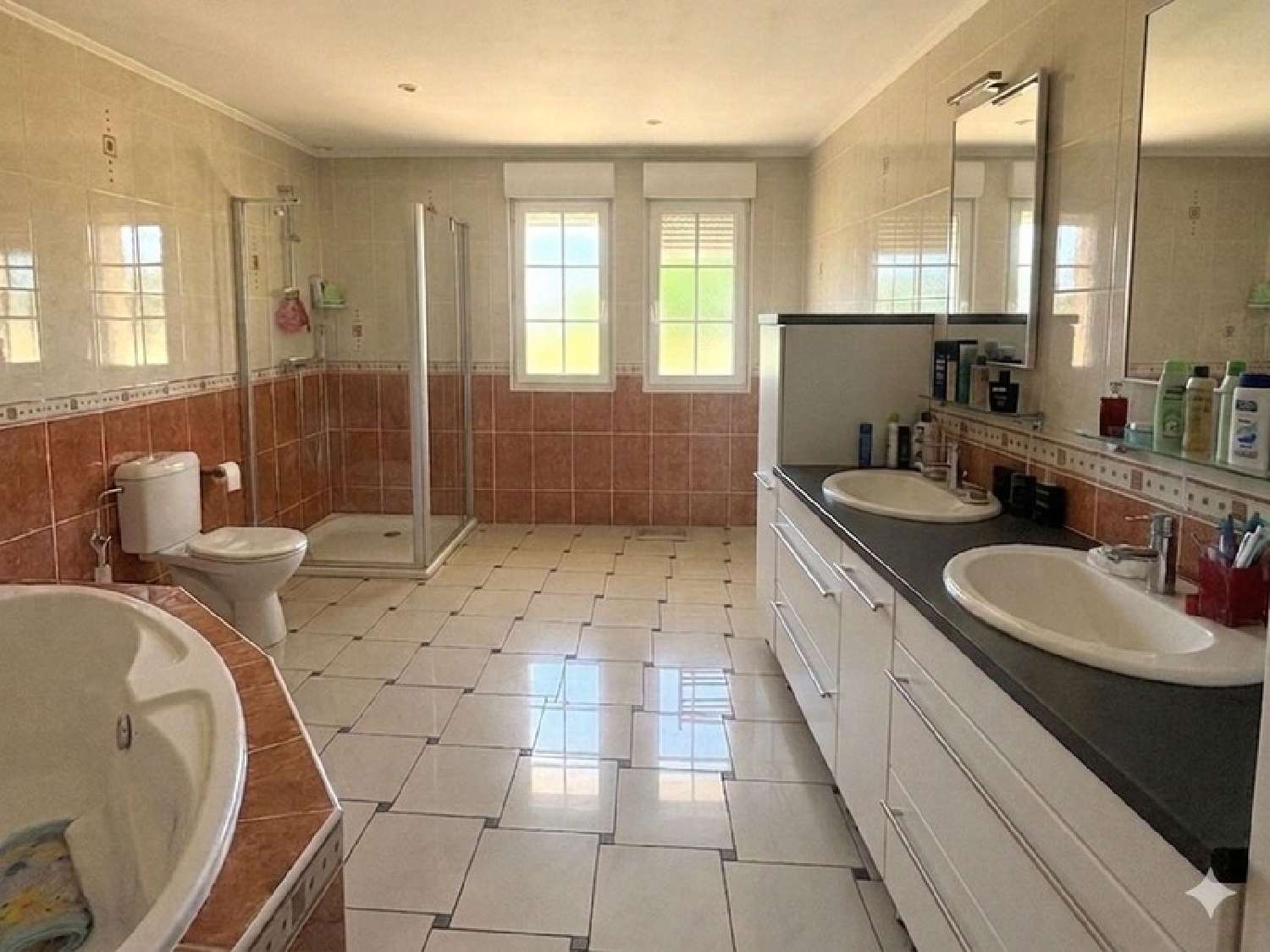  te koop huis Doncourt-lès-Longuyon Meurthe-et-Moselle 2