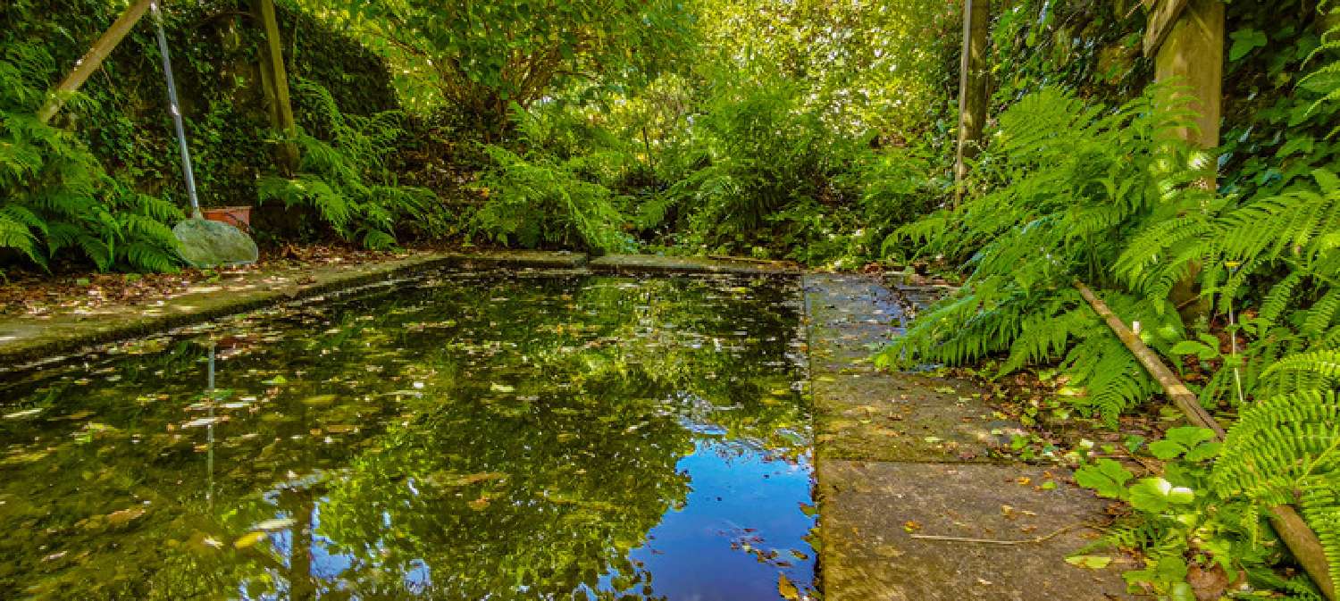 for sale house Douarnenez Finistère 4
