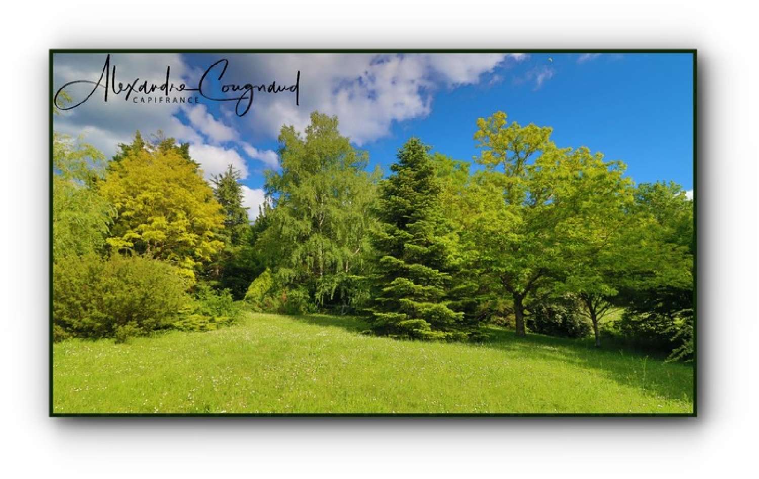 for sale house Dourgne Tarn 3