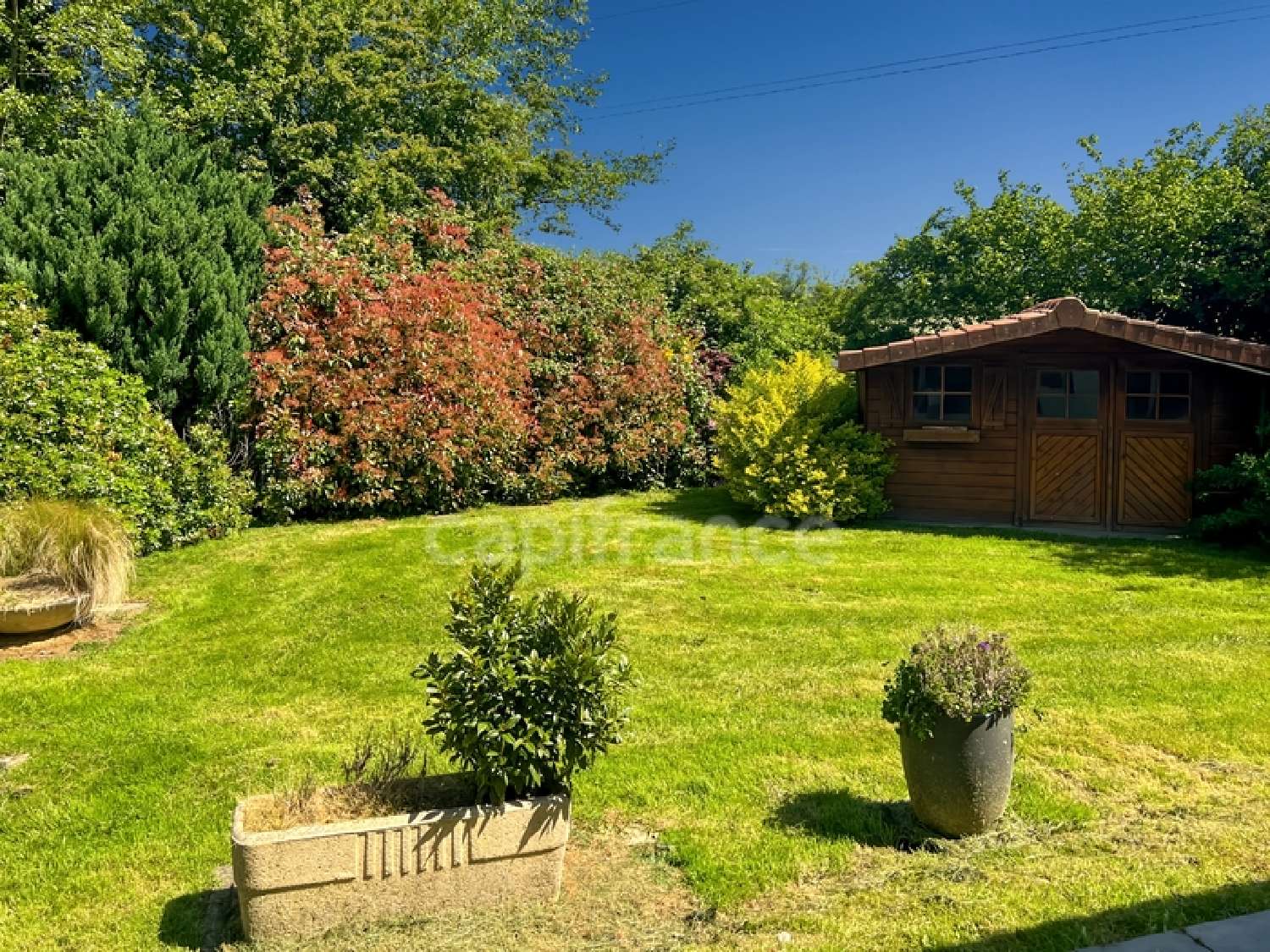 à vendre maison Echinghen Pas-de-Calais 2