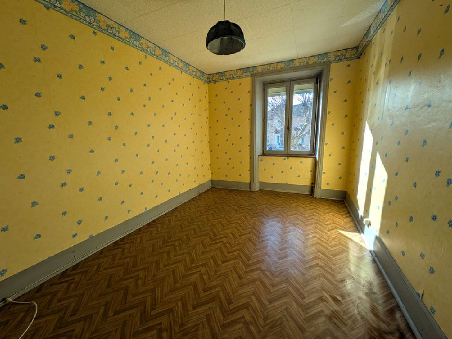  for sale house Essertines-en-Donzy Loire 7