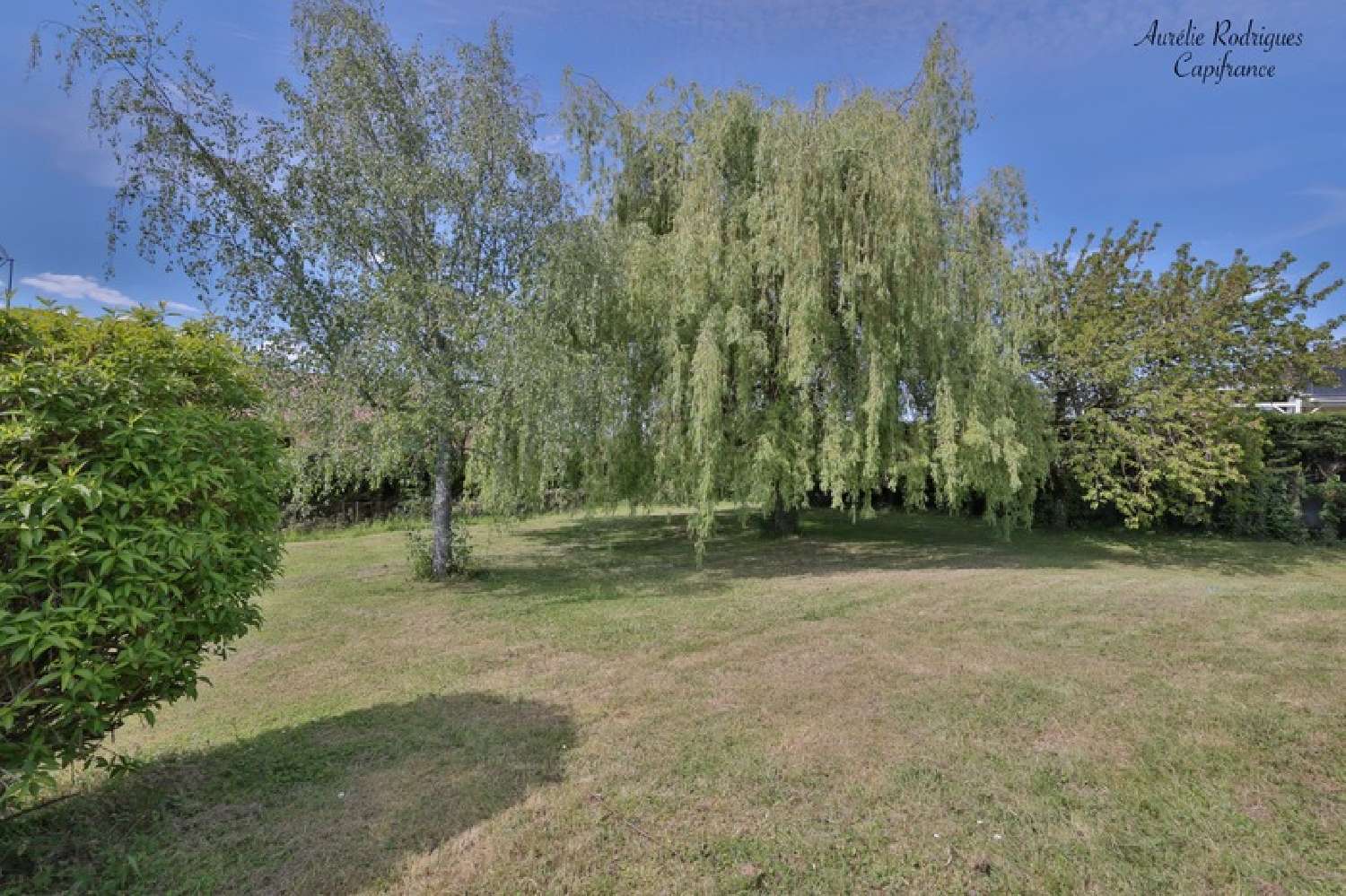  à vendre maison Feillens Ain 3