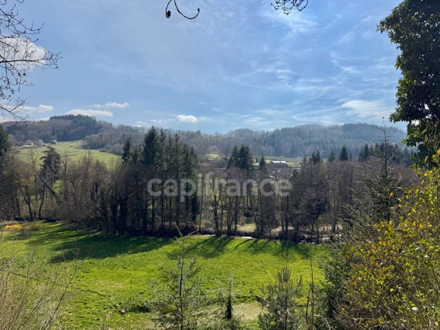  for sale house Ferrières-sur-Sichon Allier 2