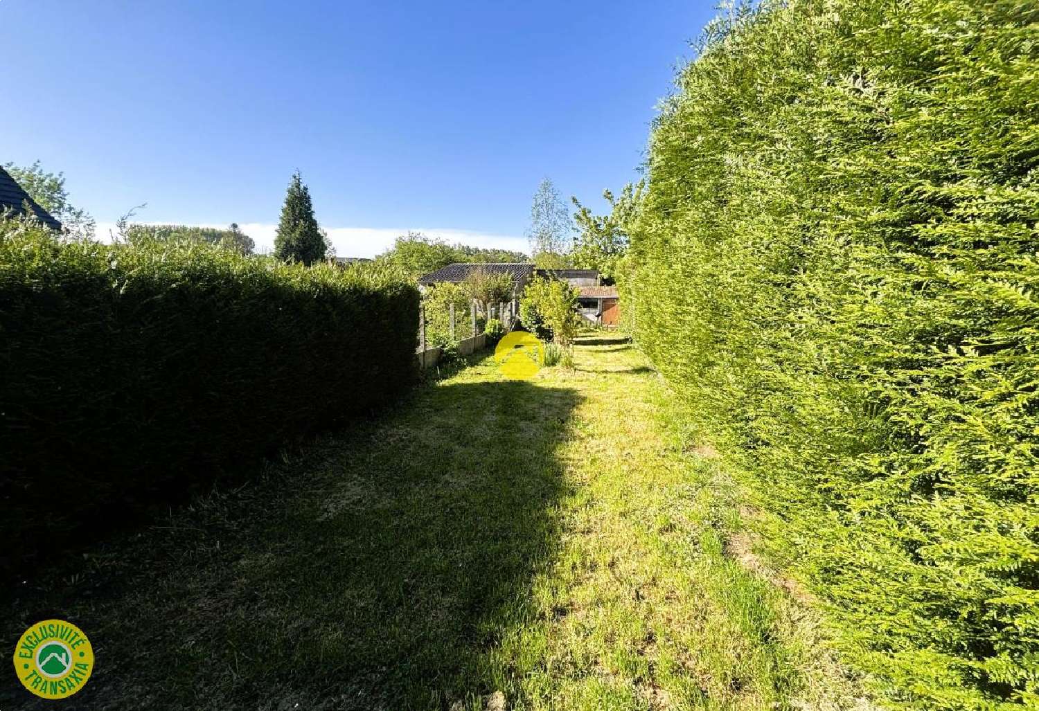 te koop huis Fruges Pas-de-Calais 3