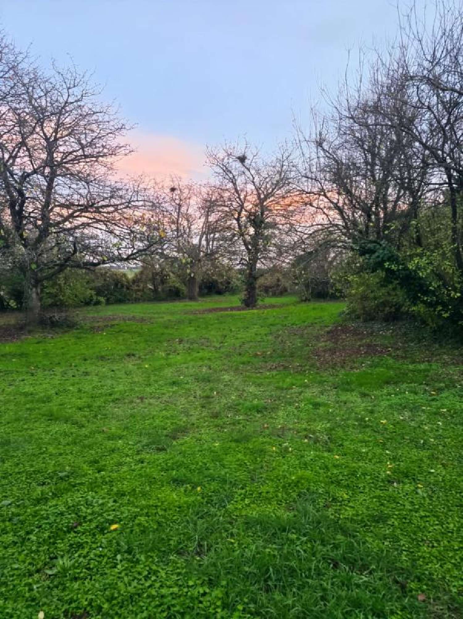 à vendre maison Glénouze Vienne 1