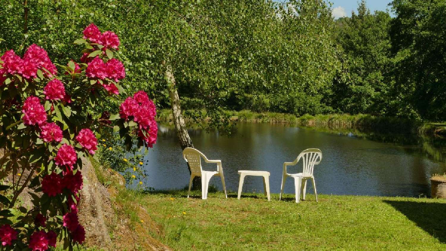 à vendre maison Gorre Haute-Vienne 5