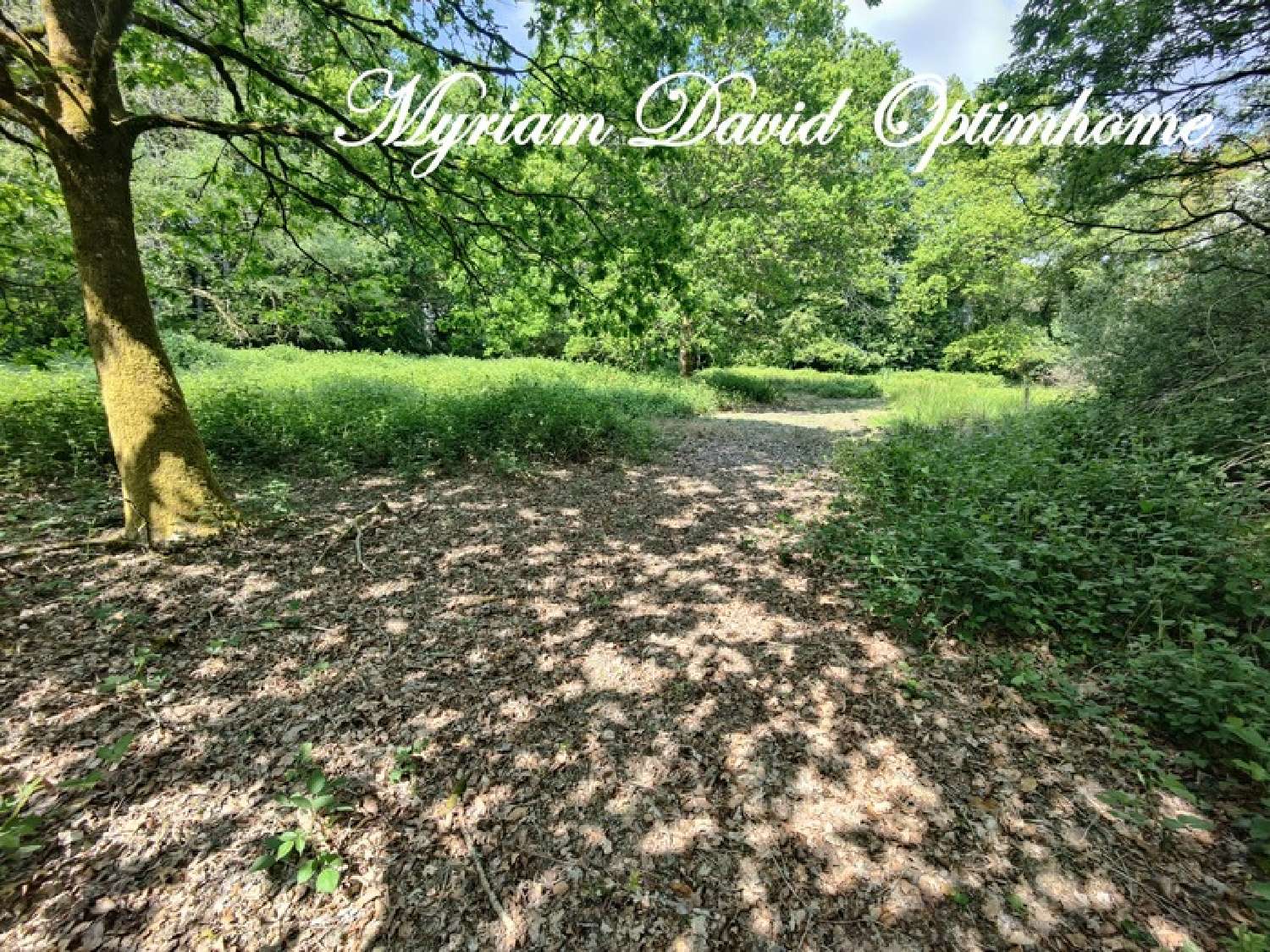  te koop huis Gouarec Côtes-d'Armor 2