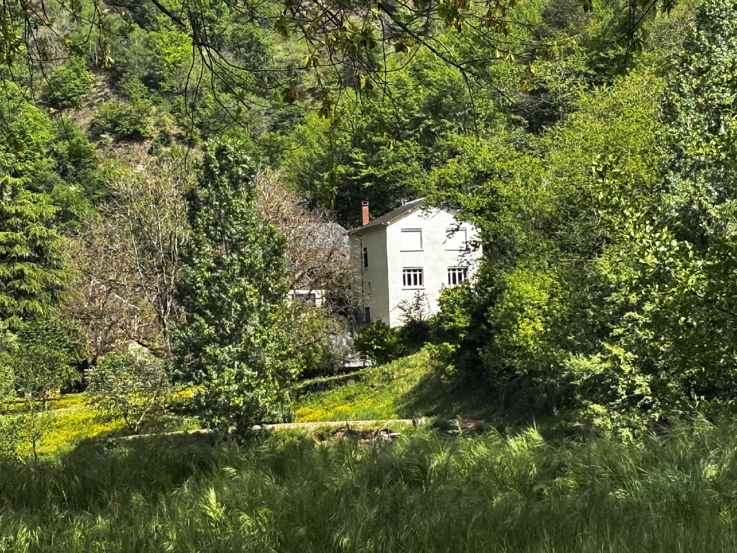  te koop huis Grand-Vabre Aveyron 2