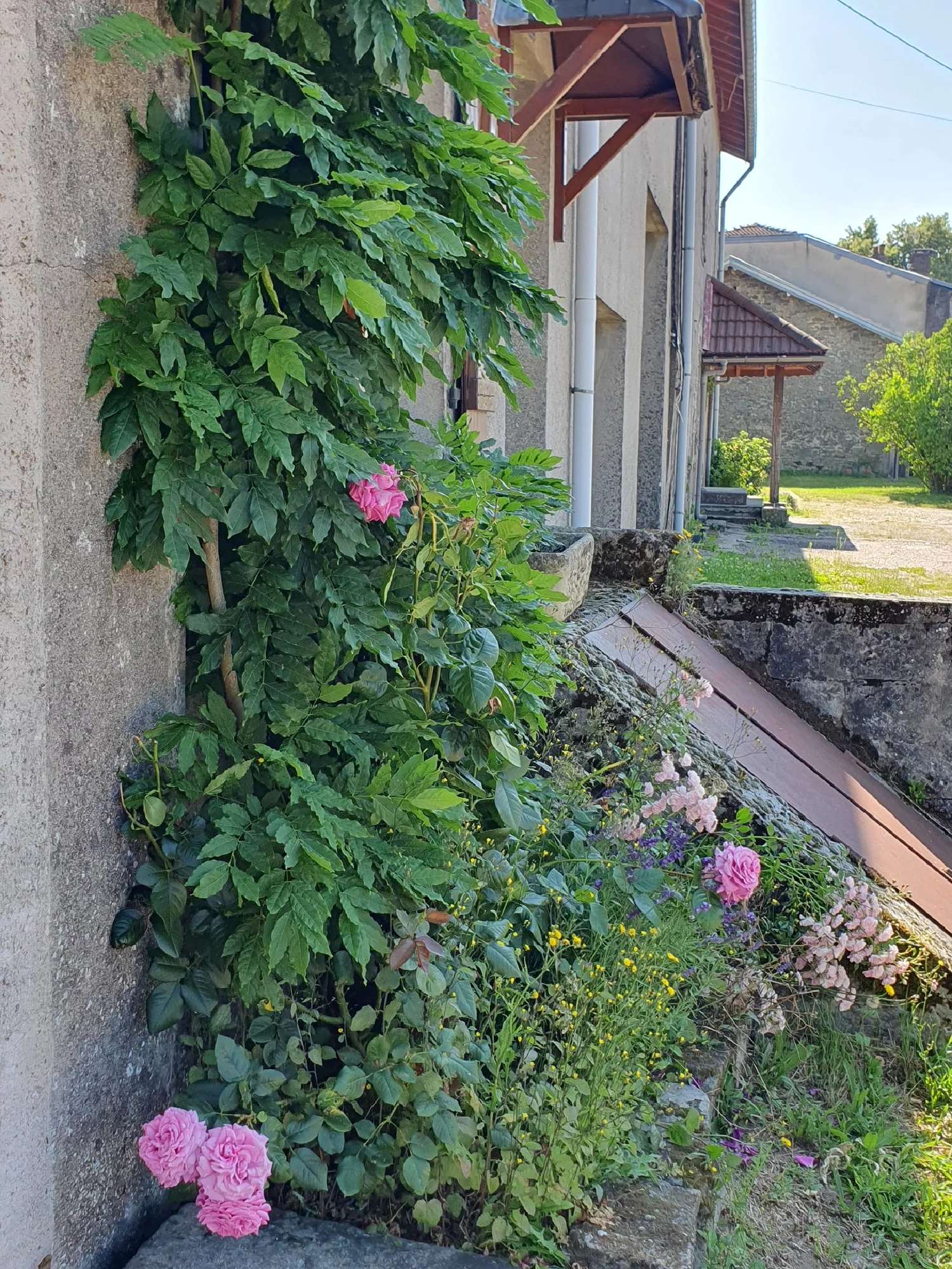  à vendre maison Grandrupt-de-Bains Vosges 4