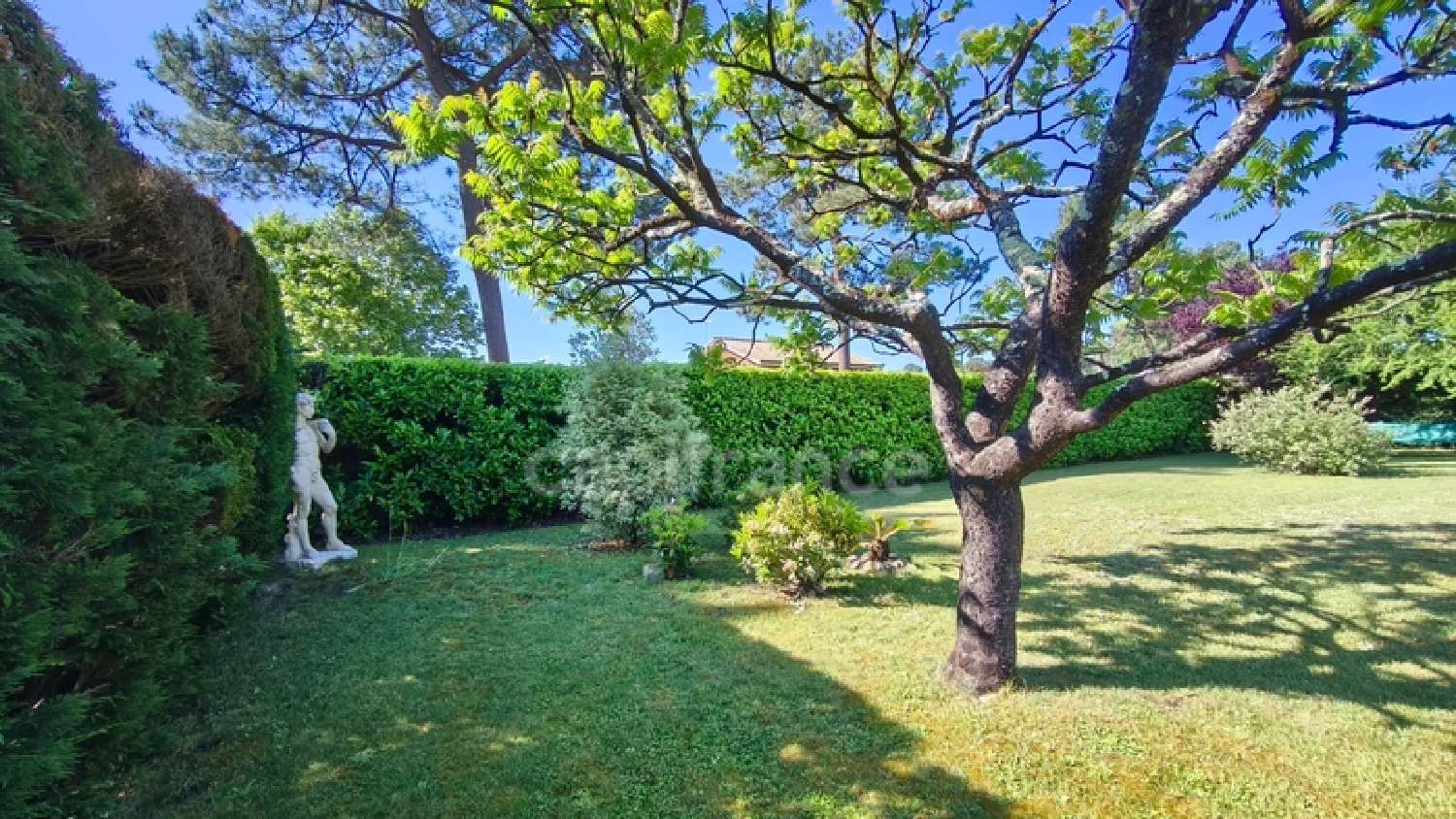  en venta casa Gujan-Mestras Gironde 8