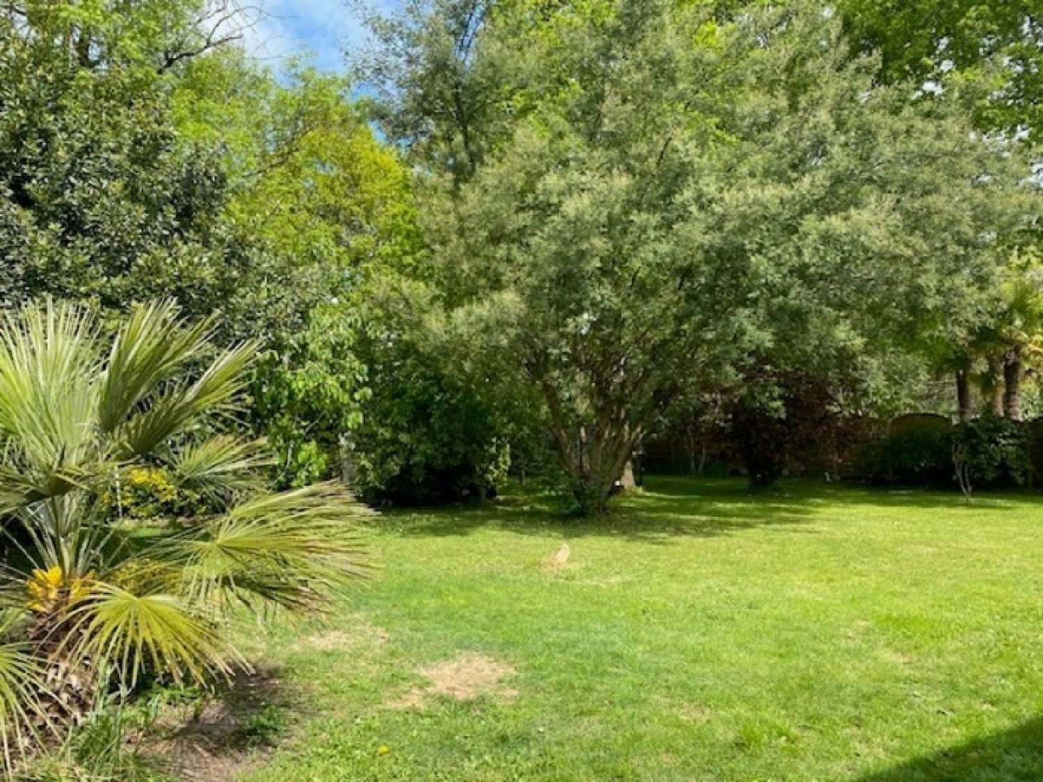 for sale house Haute-Goulaine Loire-Atlantique 2