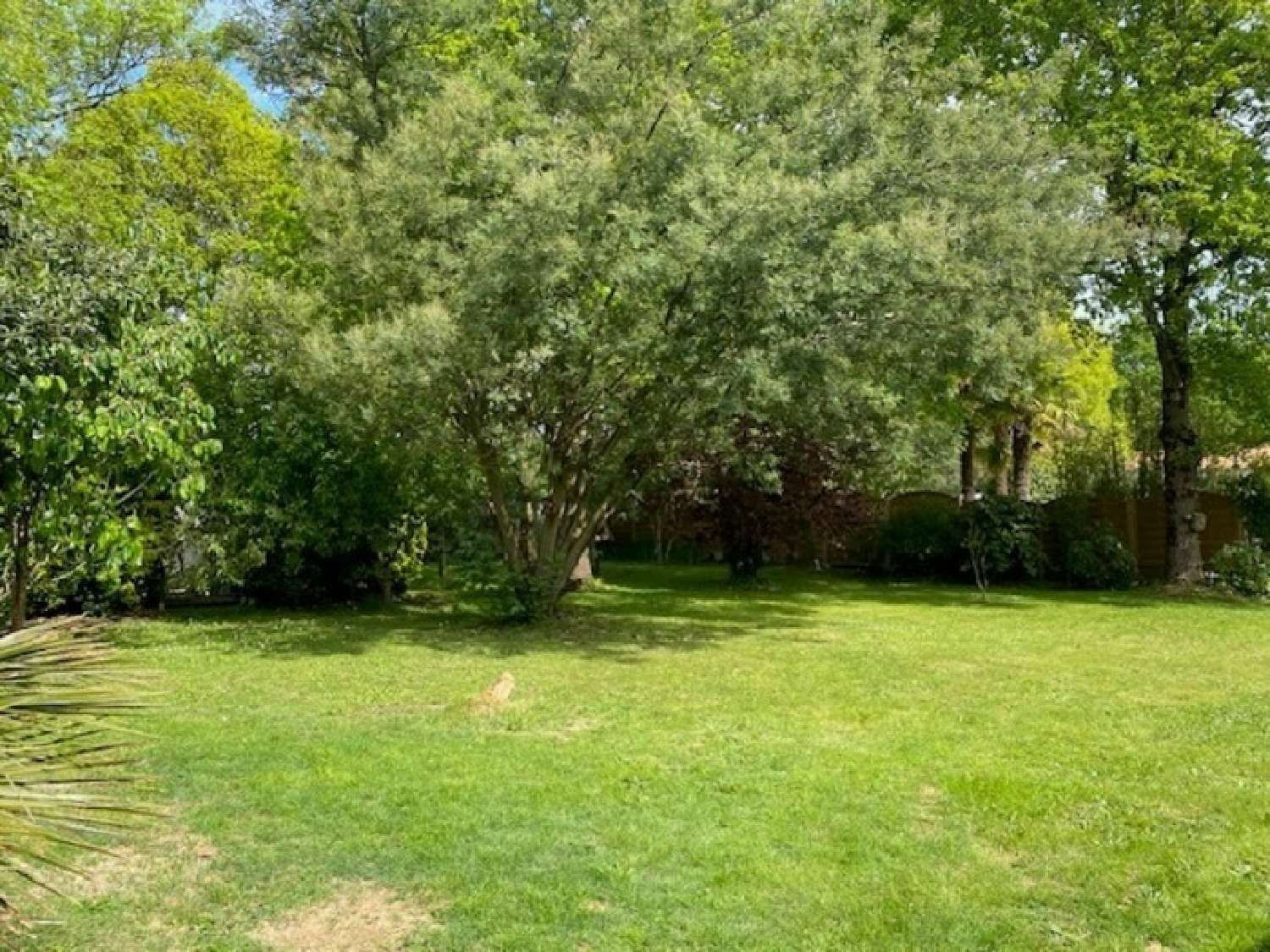 for sale house Haute-Goulaine Loire-Atlantique 3