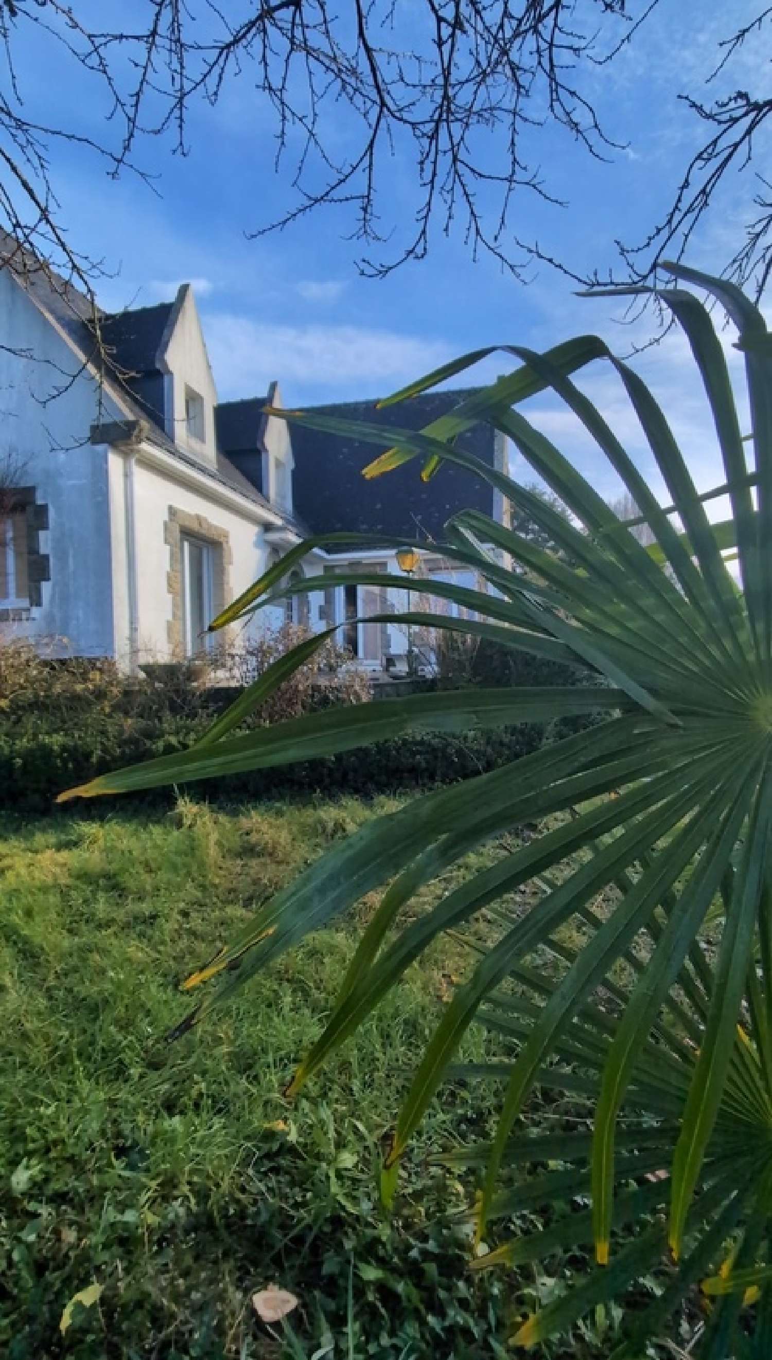  for sale house Hennebont Morbihan 3