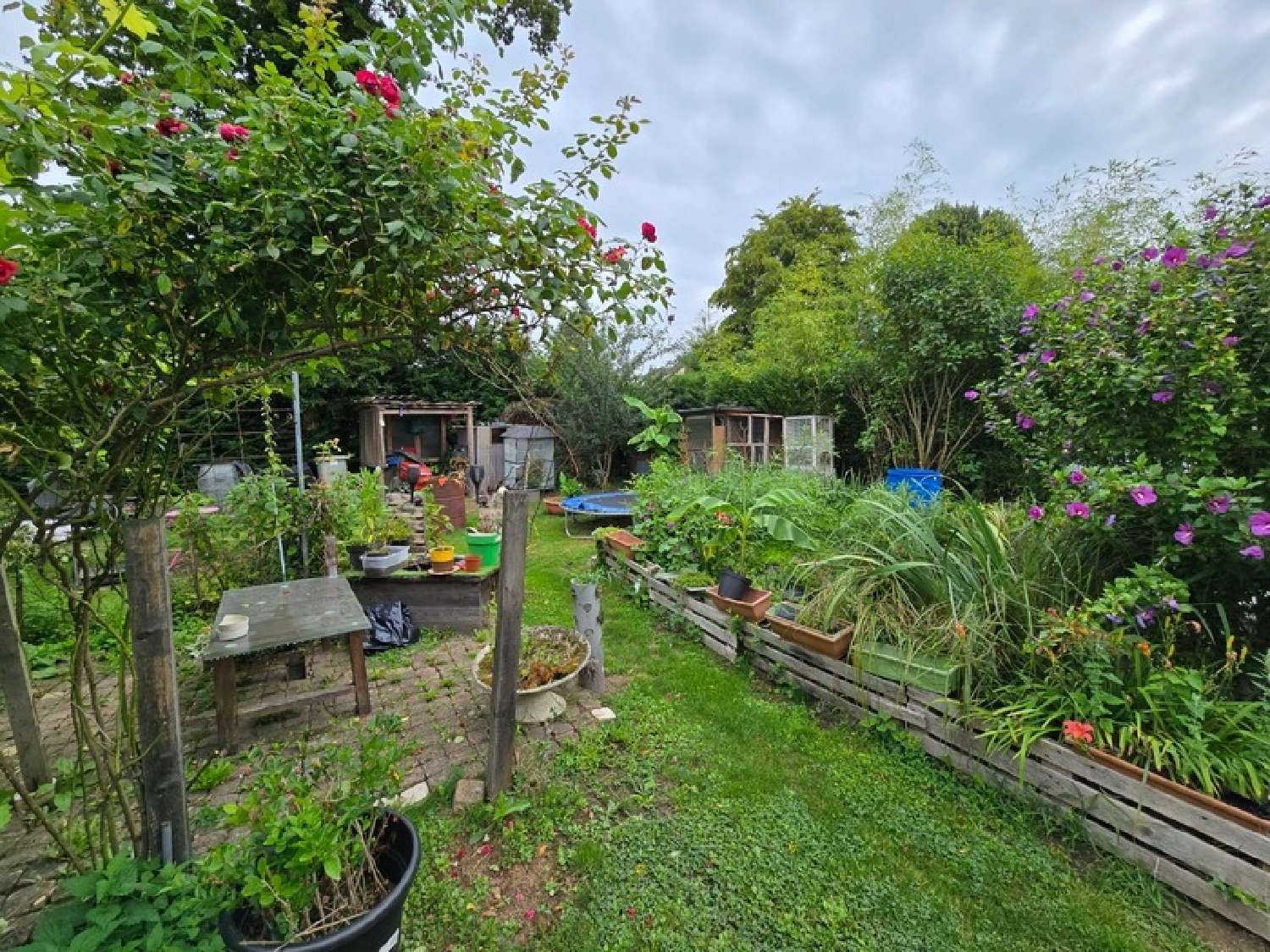  te koop huis Hirson Aisne 2