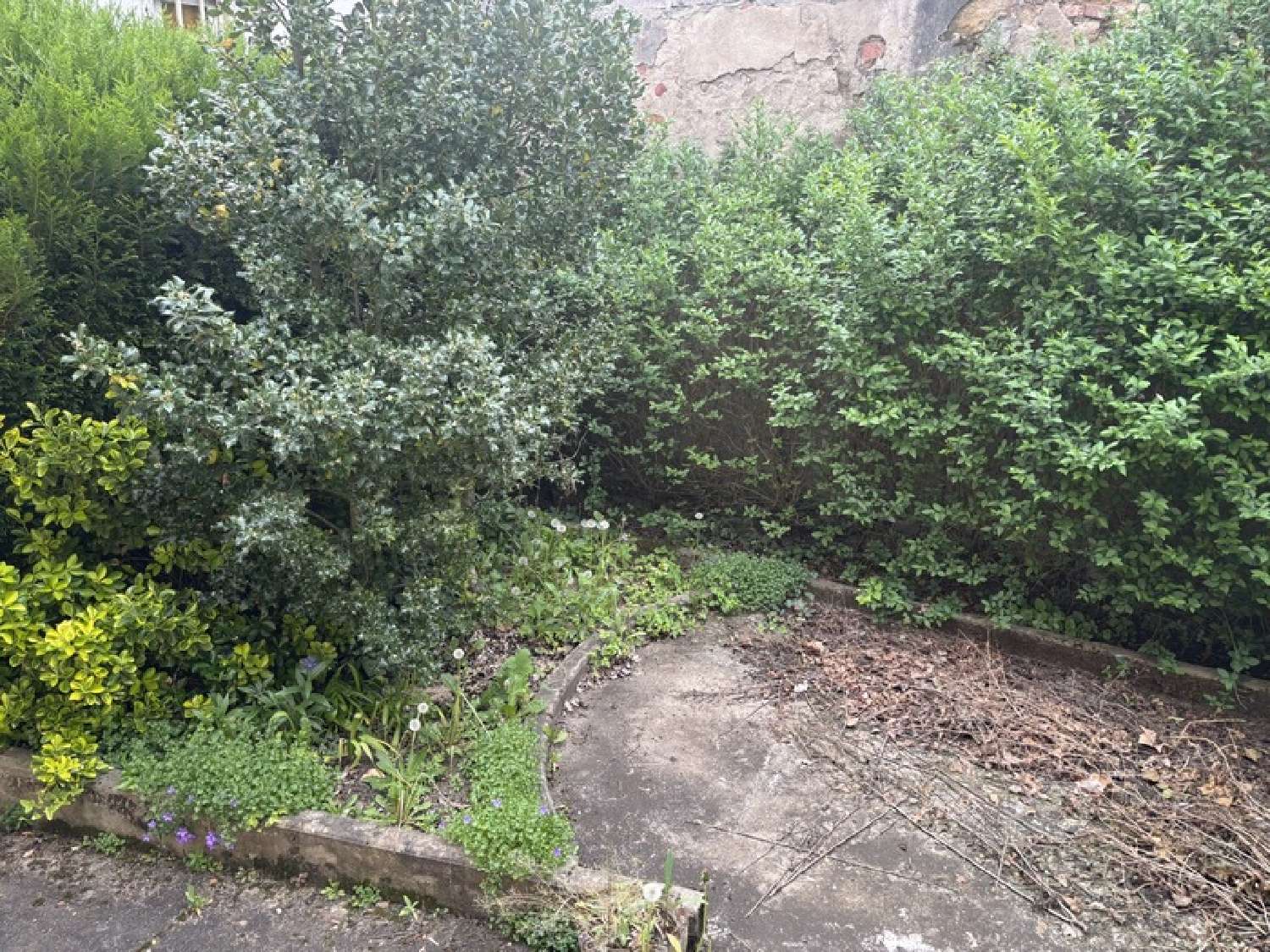 for sale house Issoire Puy-de-Dôme 2