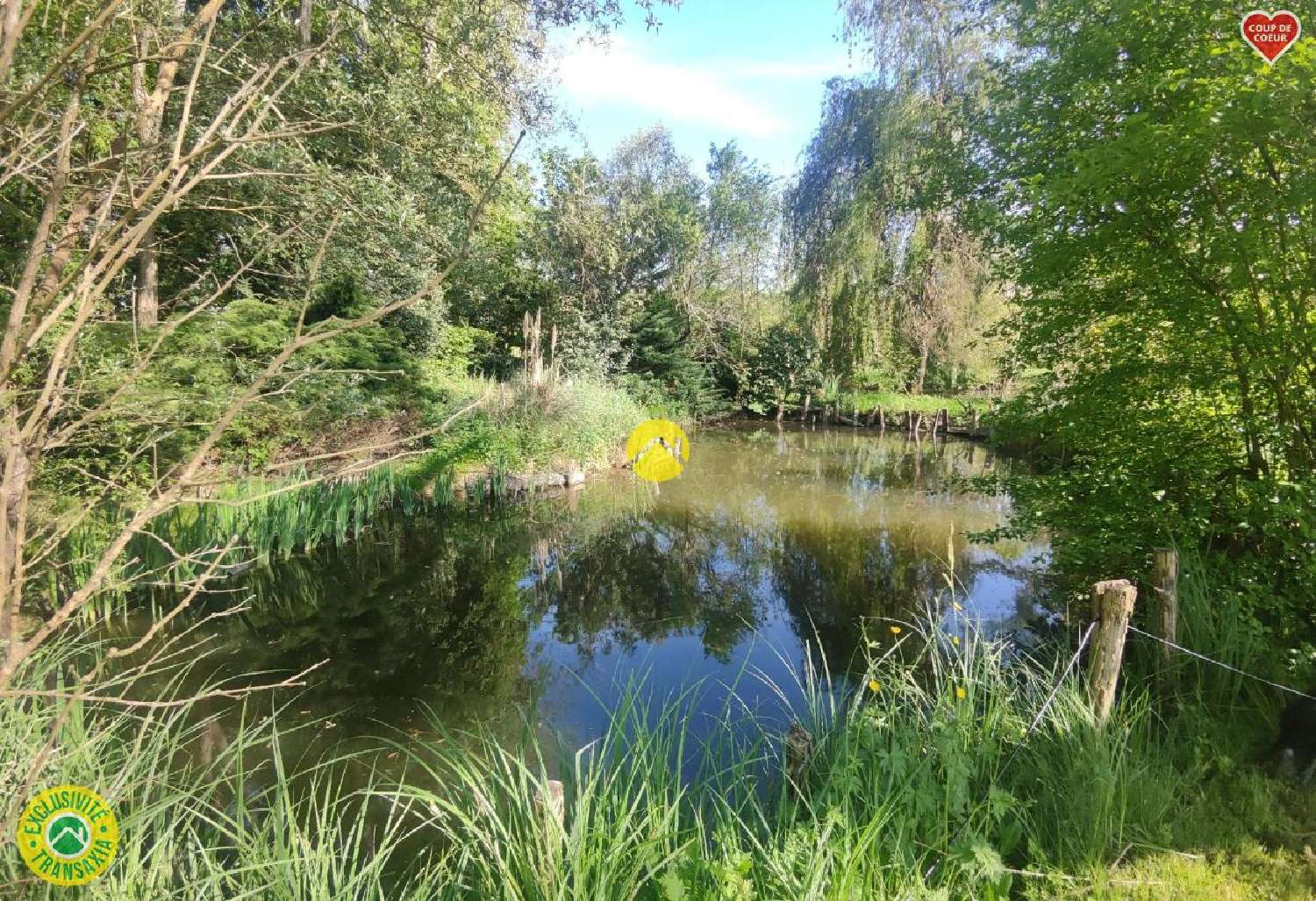  te koop huis Jouet-sur-l'Aubois Cher 3