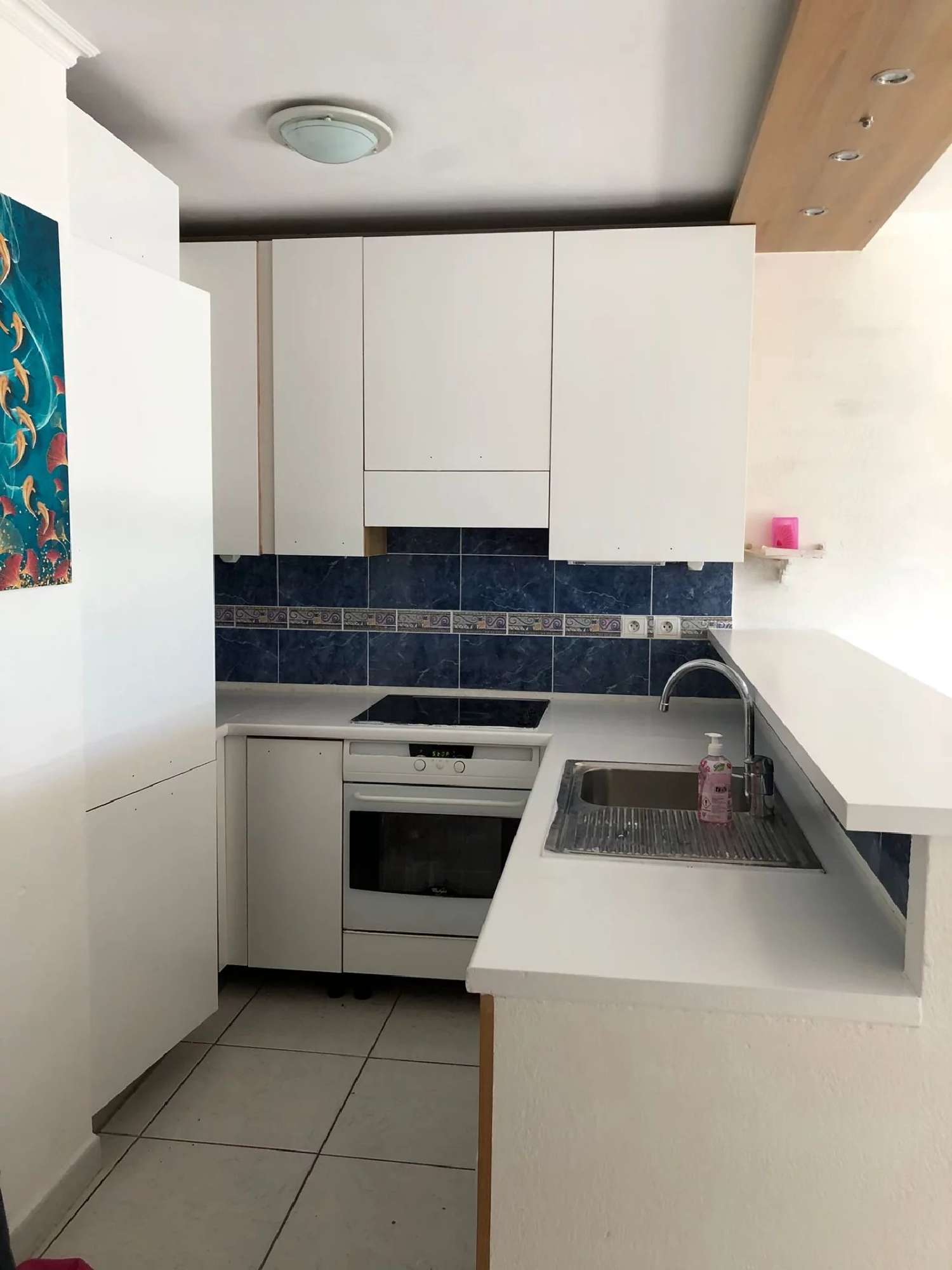 for sale house Juan-les-Pins Alpes-Maritimes 4