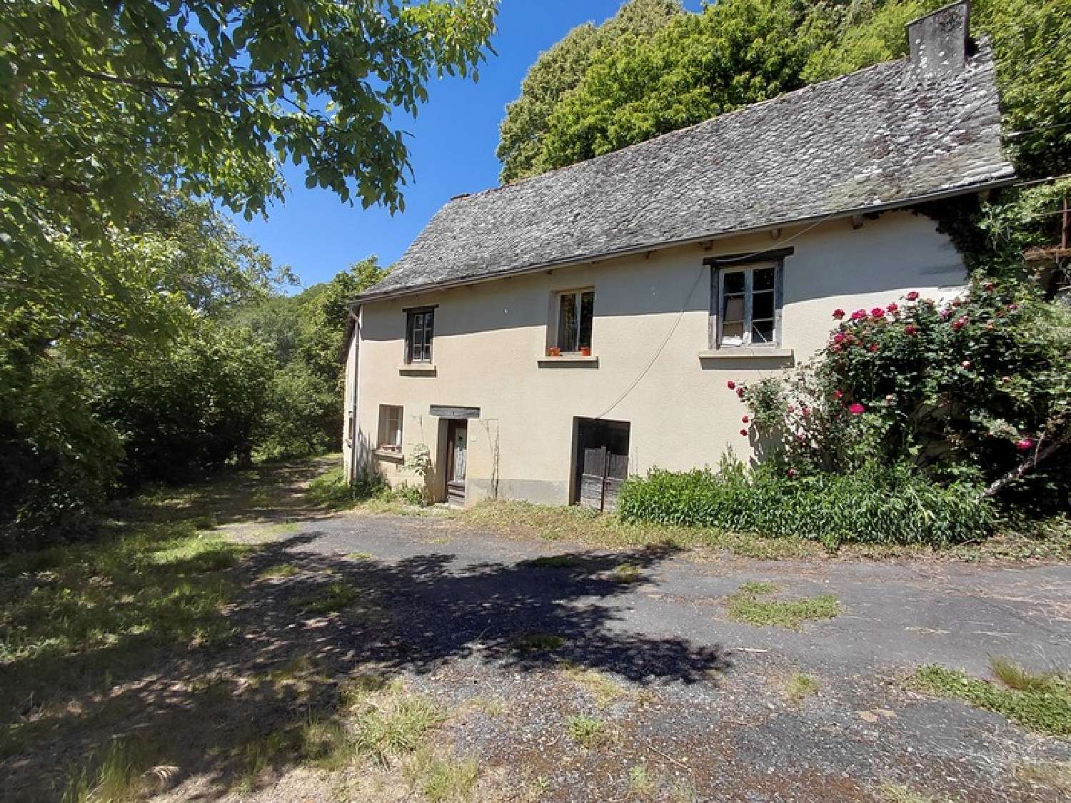 kaufen Haus Junhac Cantal 1