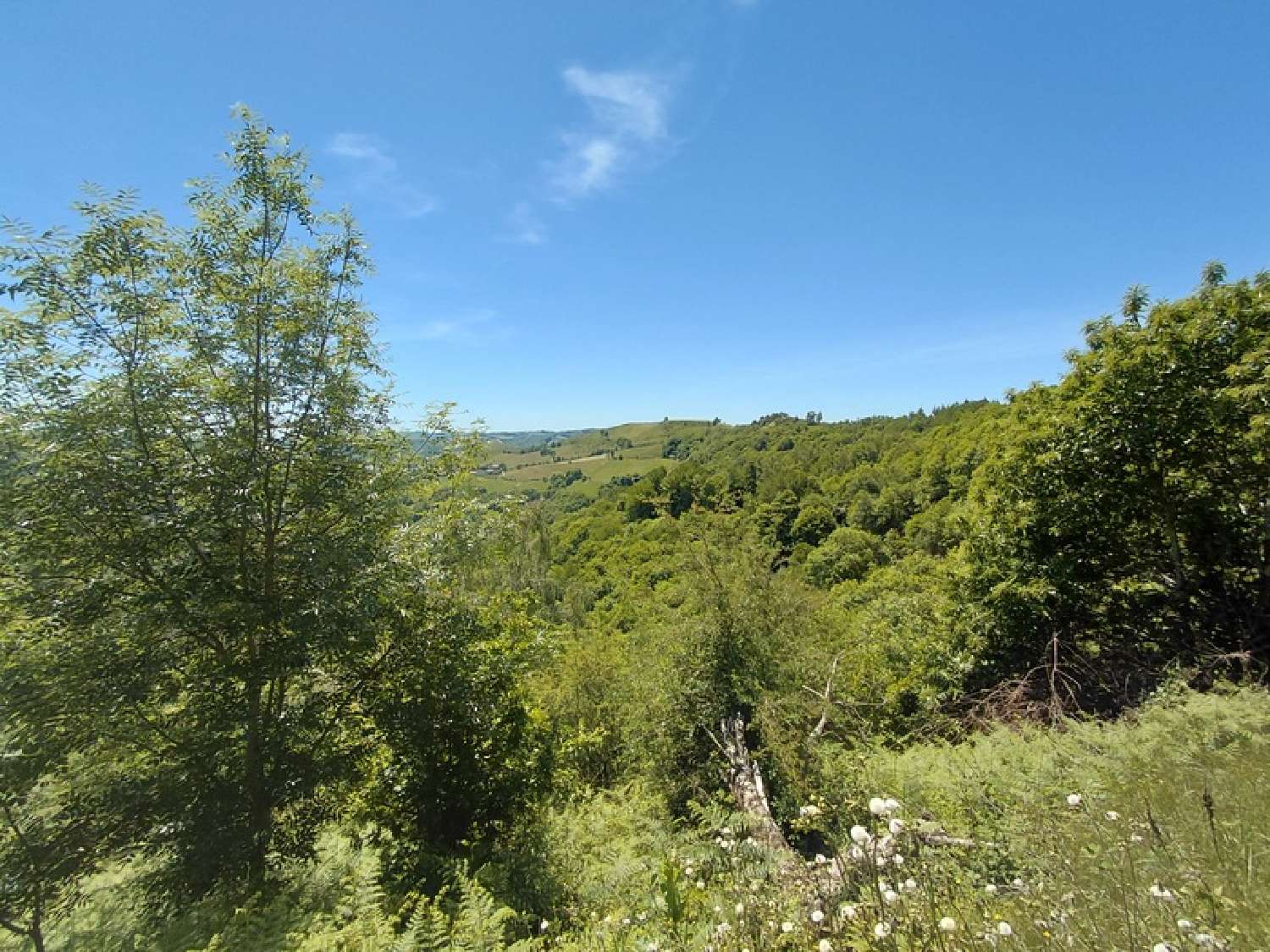 kaufen Haus Junhac Cantal 3