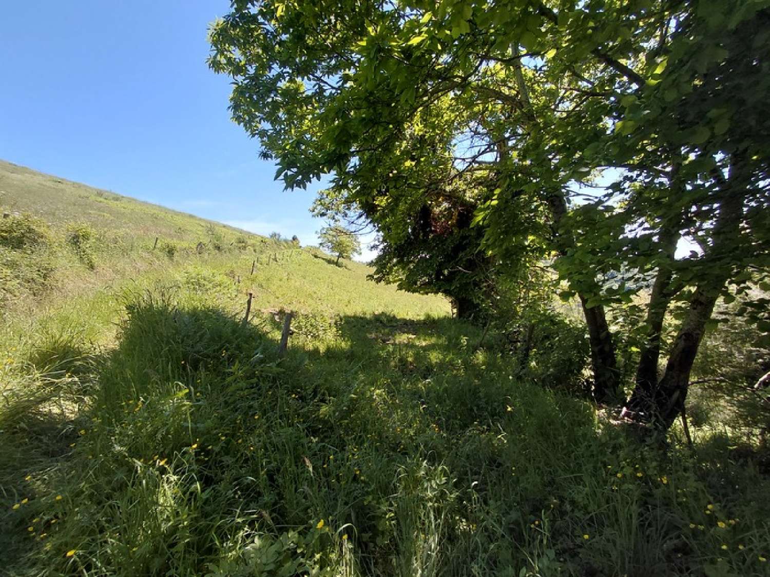 kaufen Haus Junhac Cantal 6