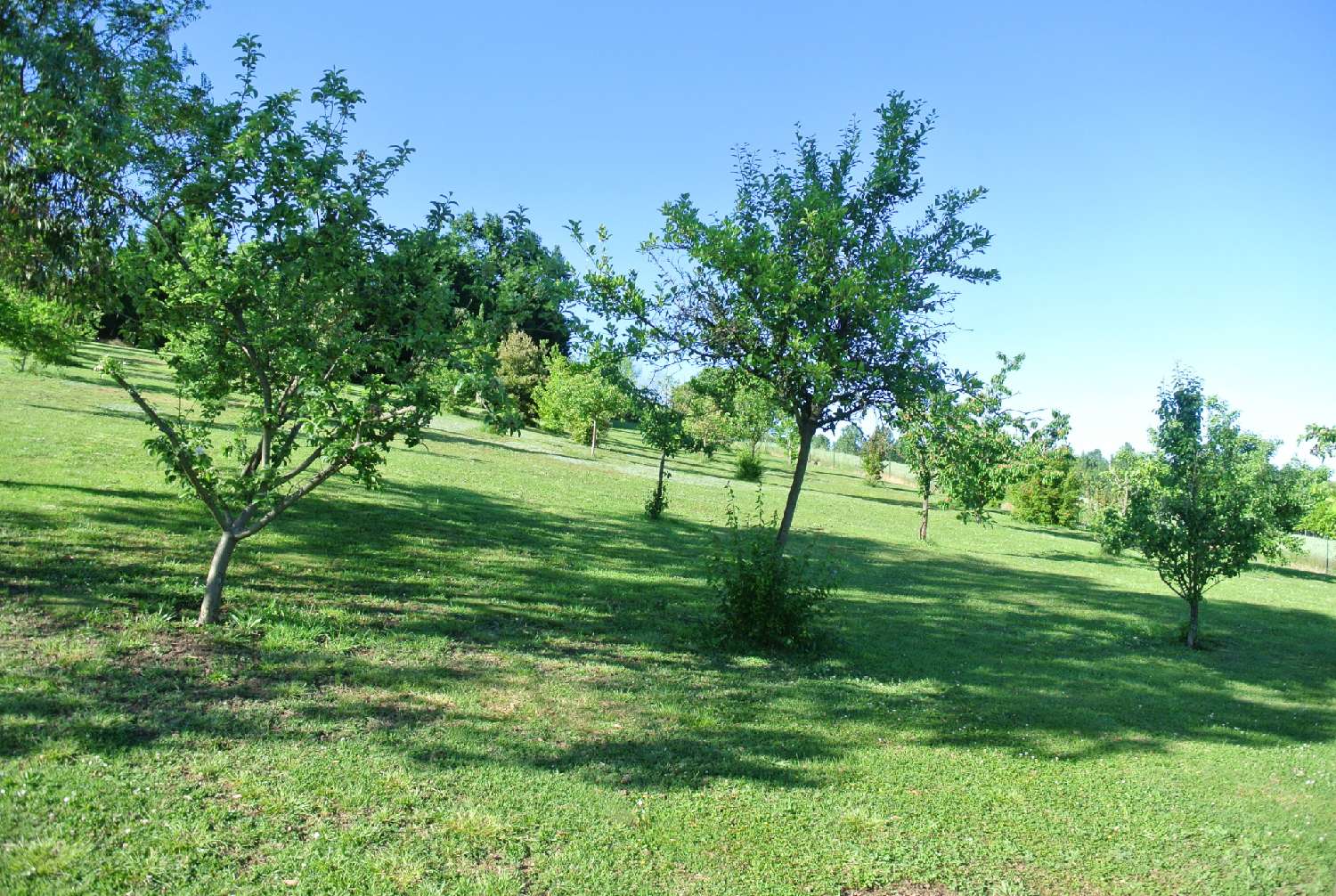 à vendre maison Jusix Lot-et-Garonne 7