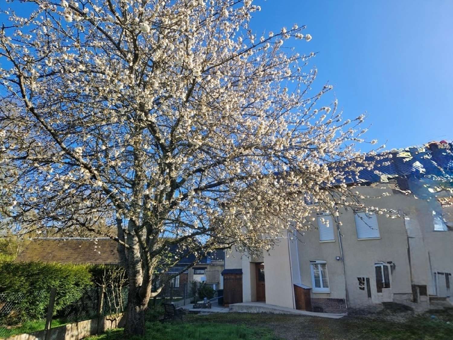 à vendre maison La Feuillie Seine-Maritime 7
