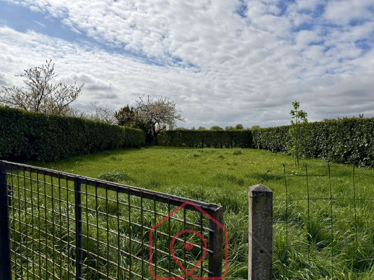  for sale house La Fresnais Ille-et-Vilaine 4