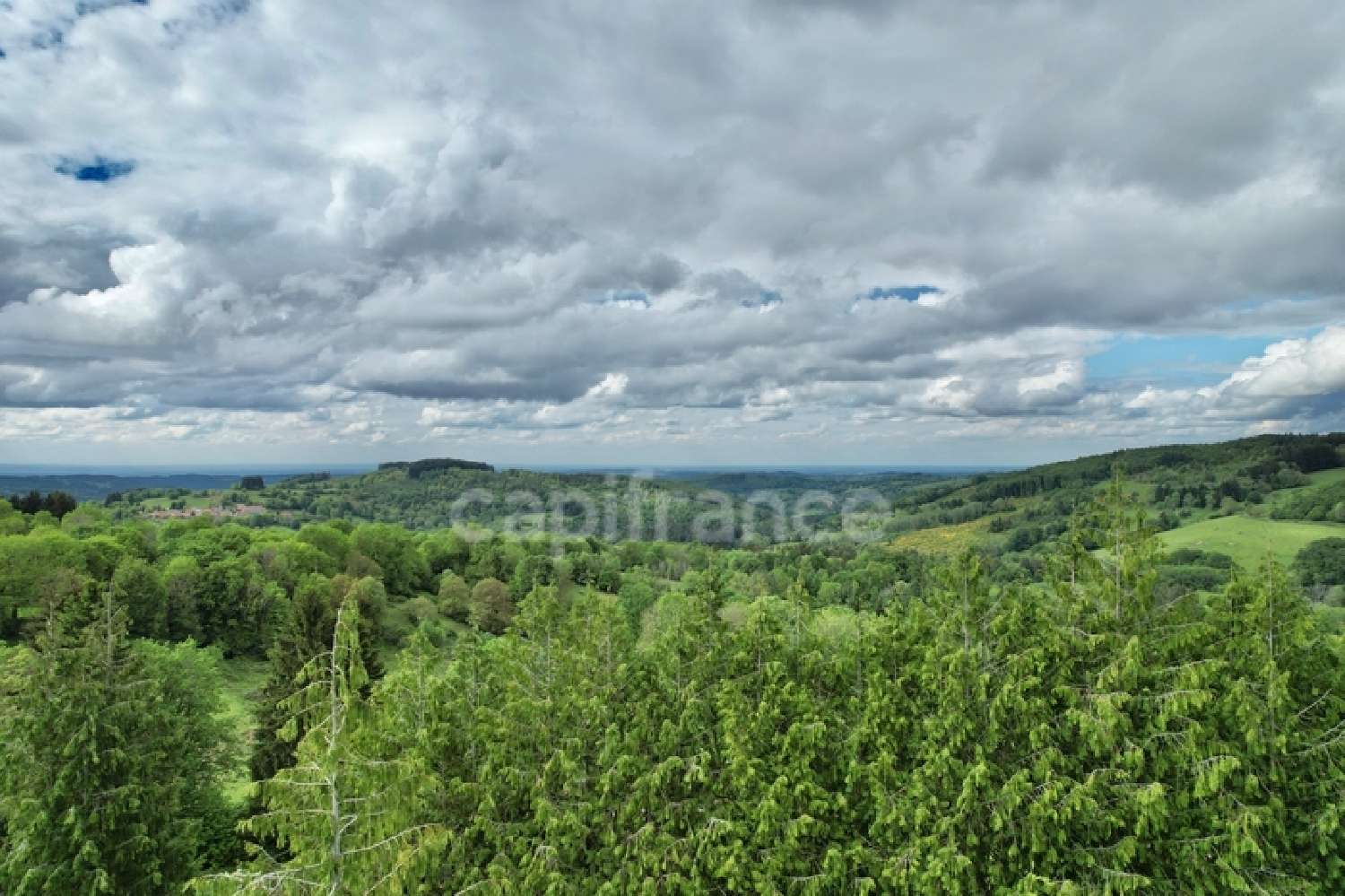 for sale house La Guillermie Allier 7