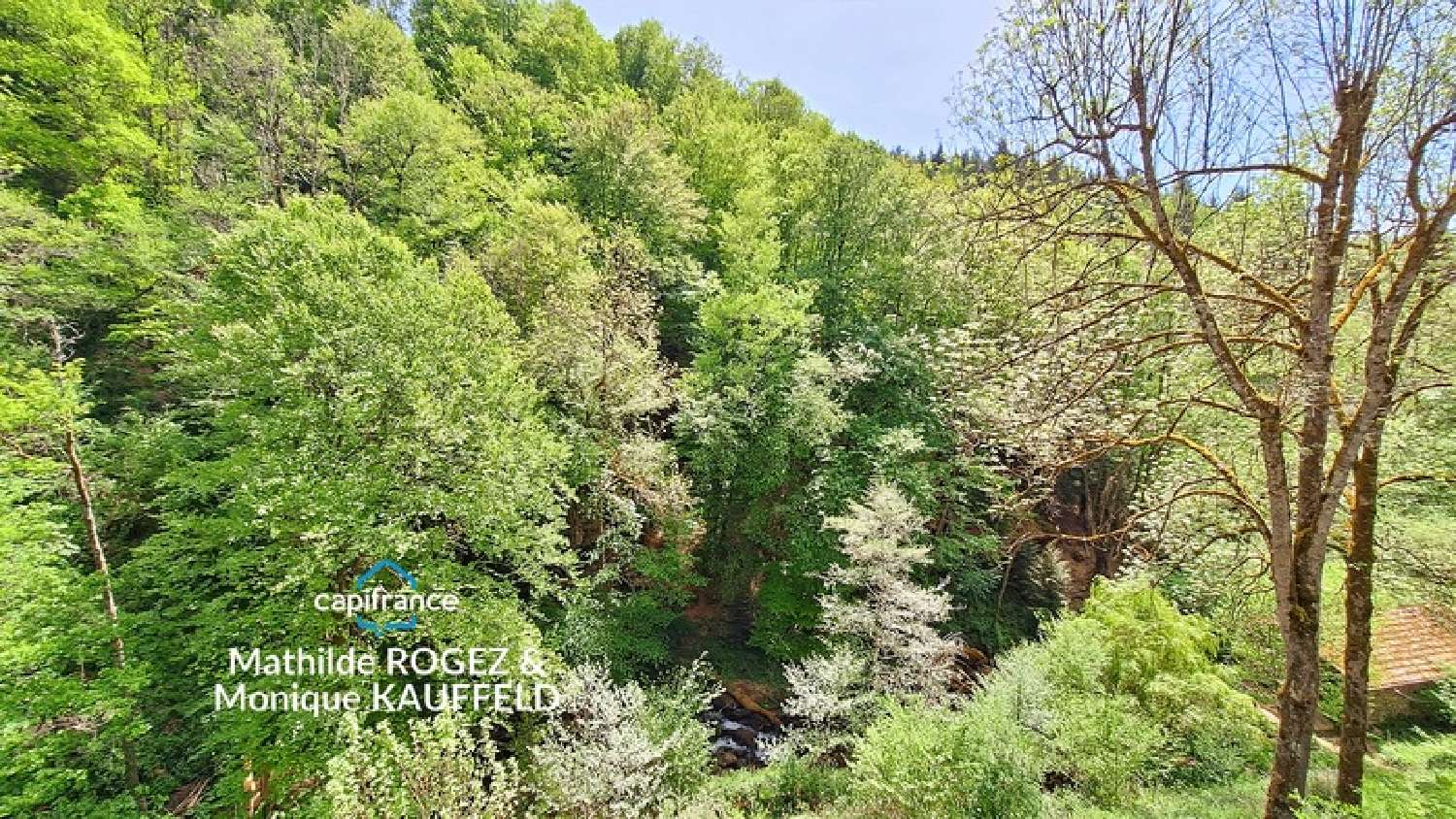 en venta casa La Renaudie Puy-de-Dôme 5