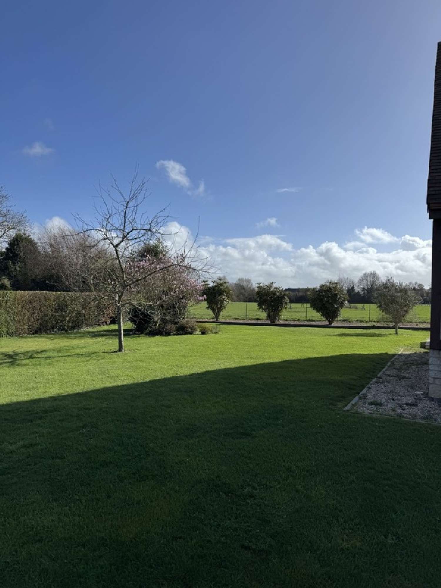  for sale house La Rivière-Saint-Sauveur Calvados 4
