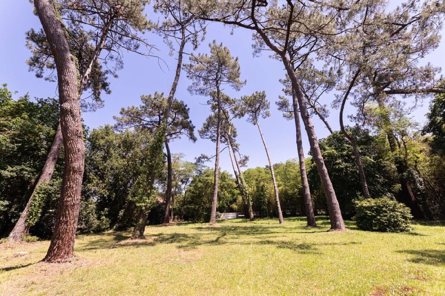  for sale house Labenne Landes 3