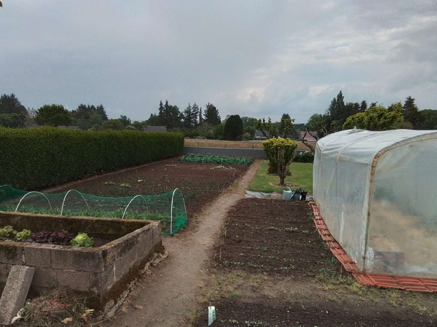 en venta casa Langonnet Morbihan 6