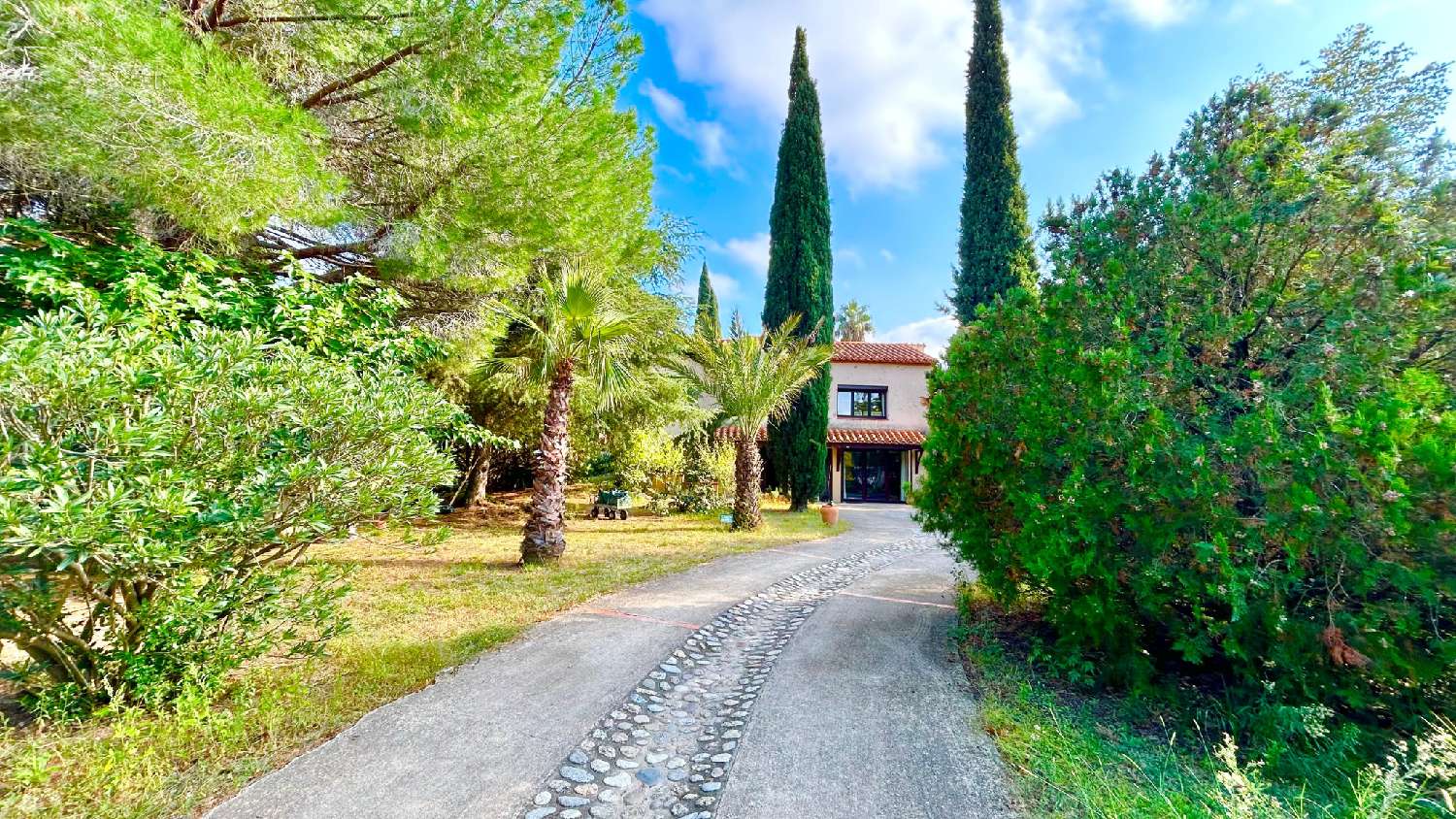  for sale house Laroque-des-Albères Pyrénées-Orientales 5