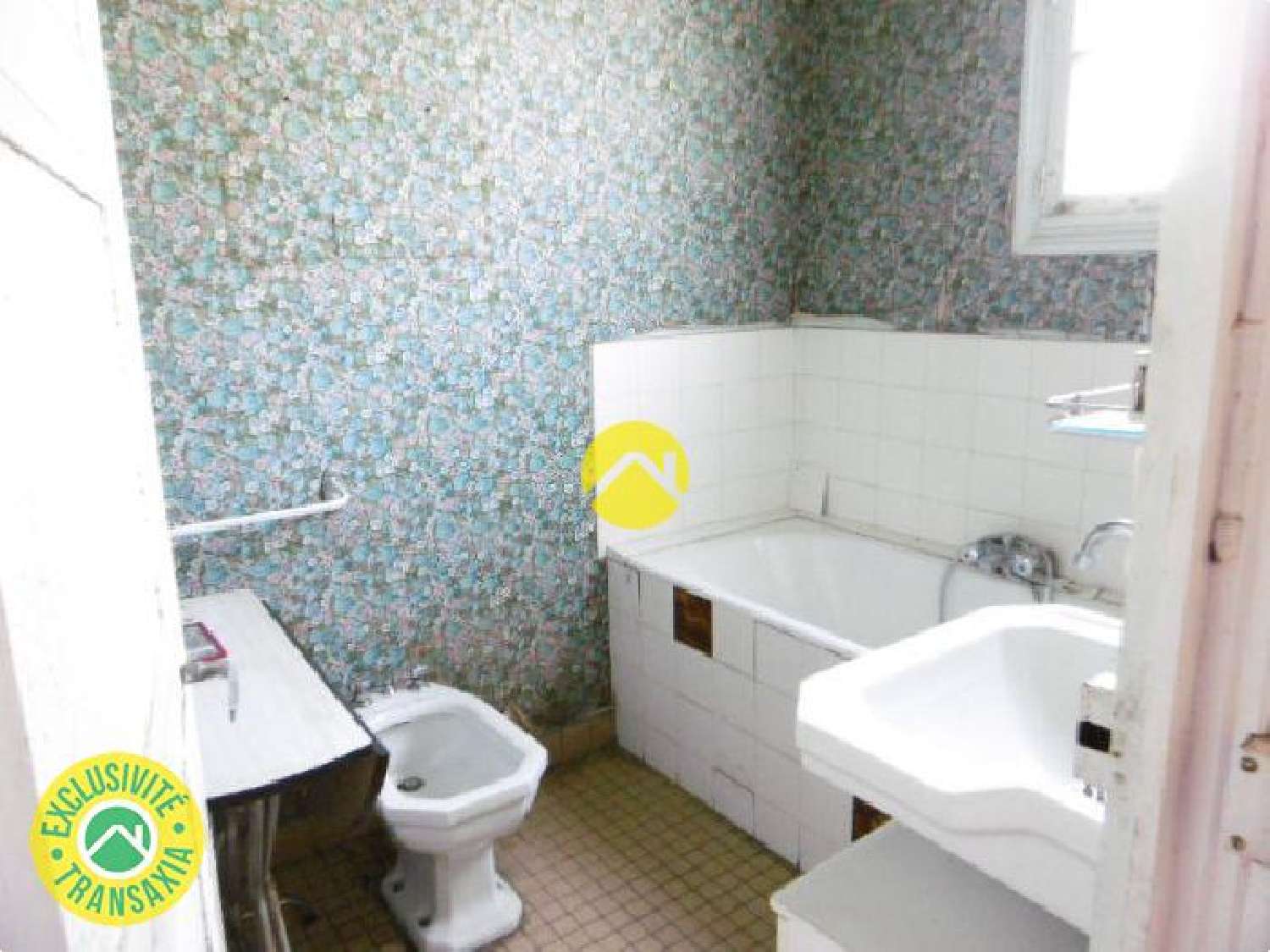  te koop huis Le Blanc Indre 8