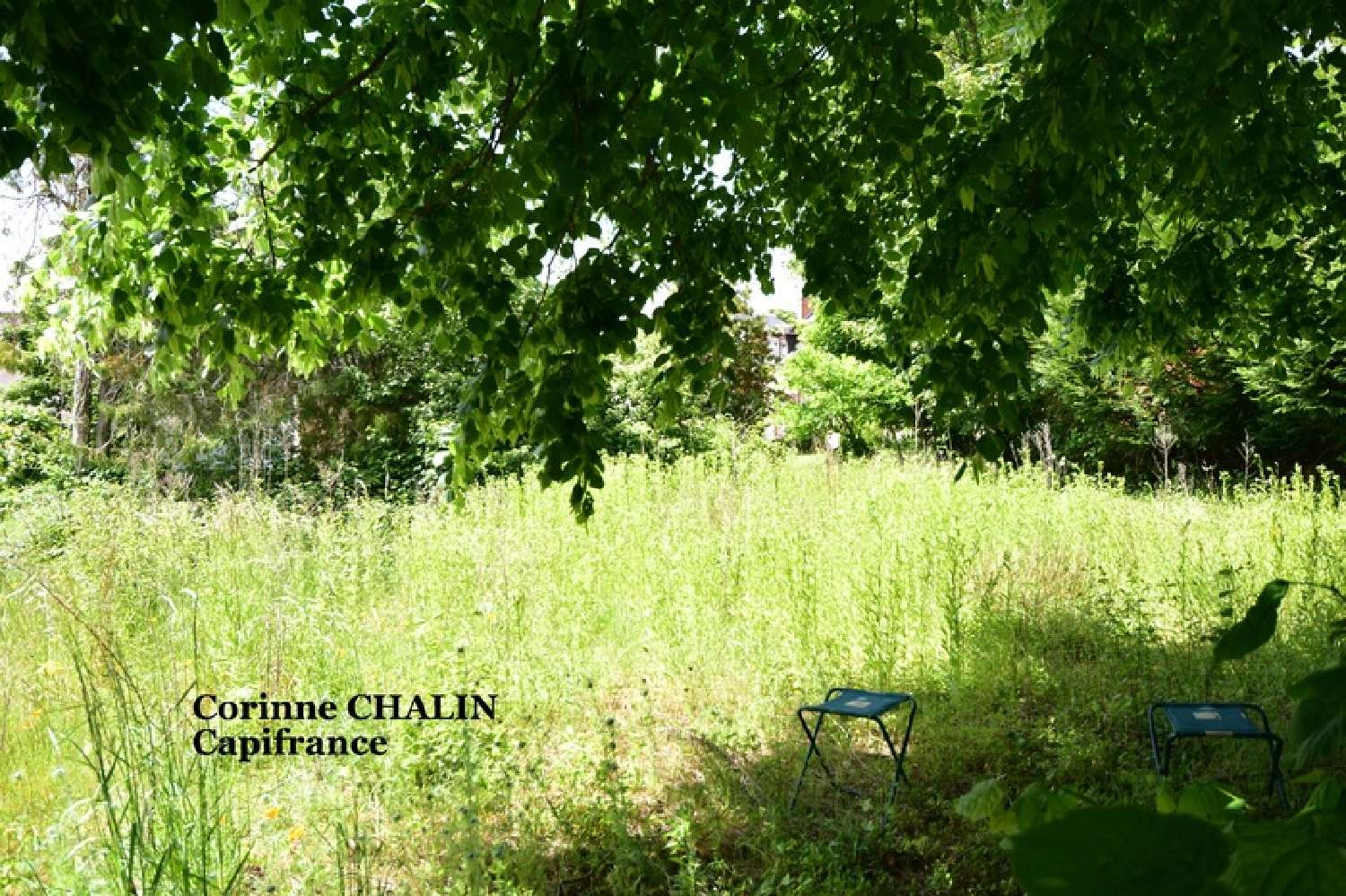 kaufen Haus Le Donjon Allier 1