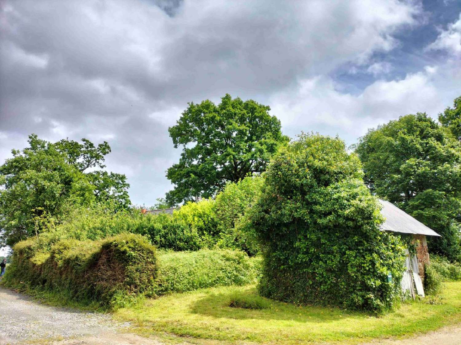 for sale house Le Ham Mayenne 5