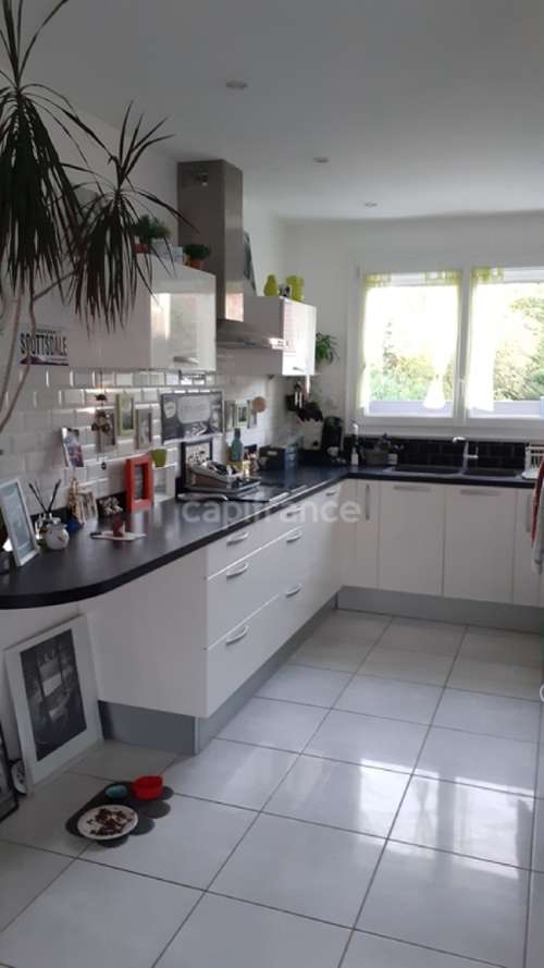 Le Mans Sarthe Haus Bild 7348067