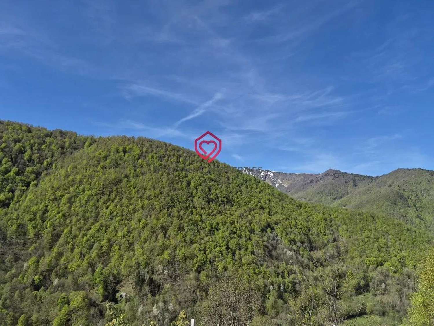  te koop huis Le Port Ariège 2