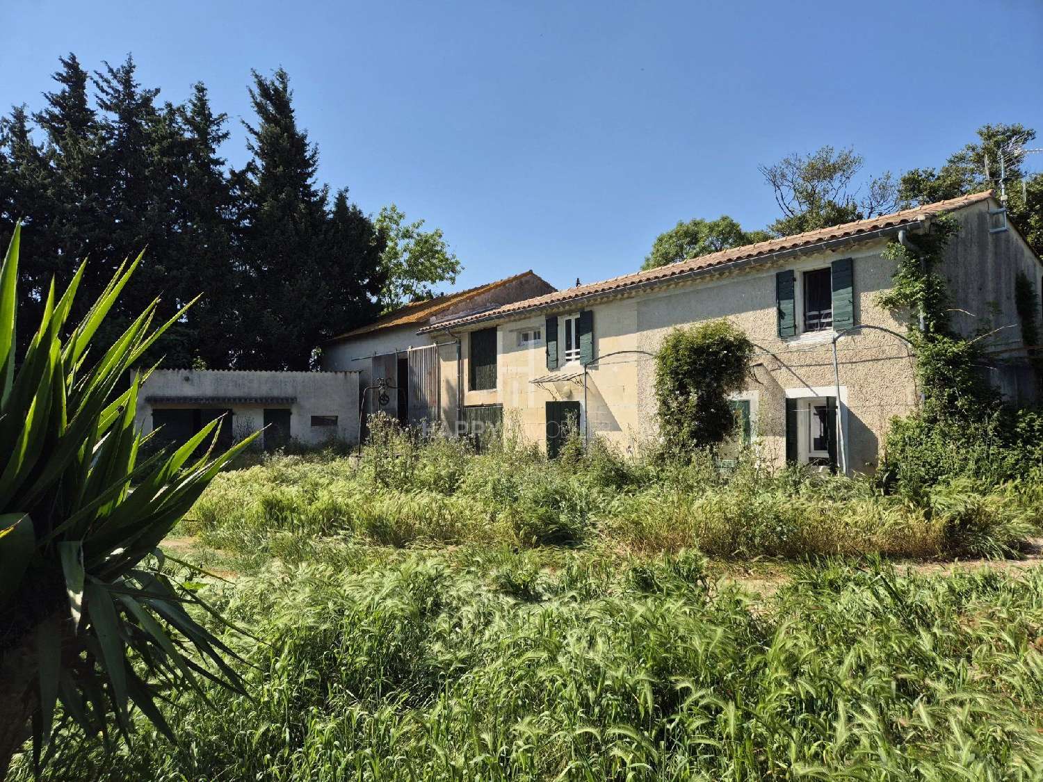  à vendre maison Le Rove Bouches-du-Rhône 1