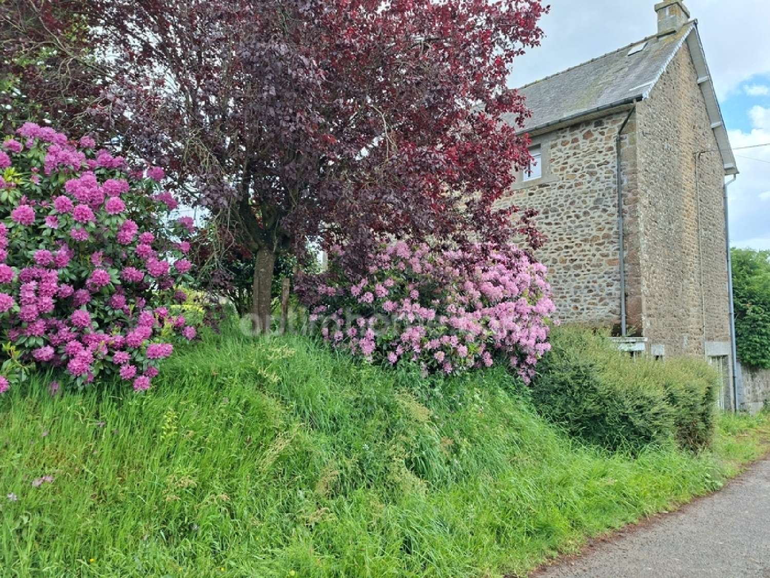  for sale house Le Teilleul Manche 3